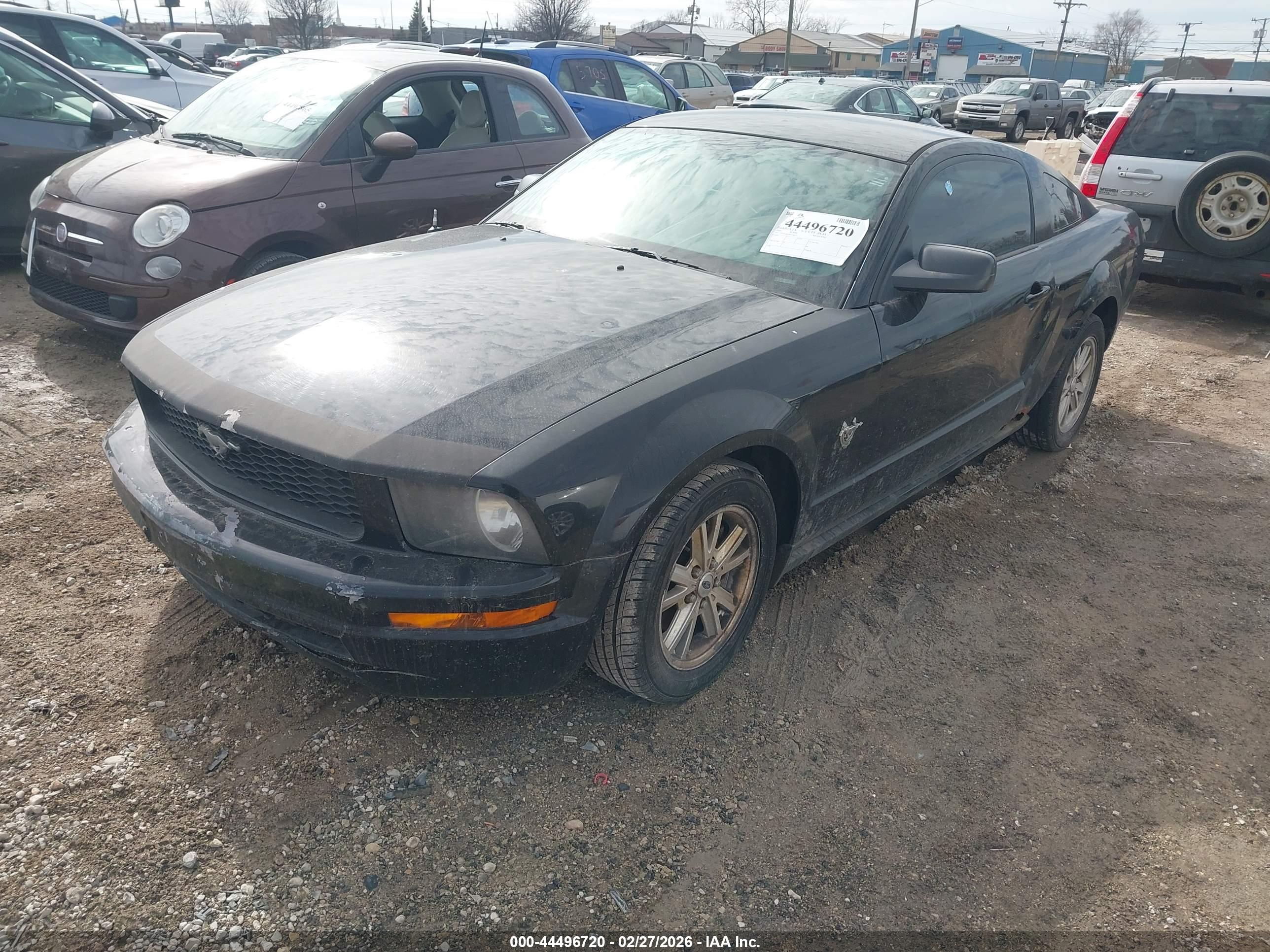 FORD MUSTANG image 2