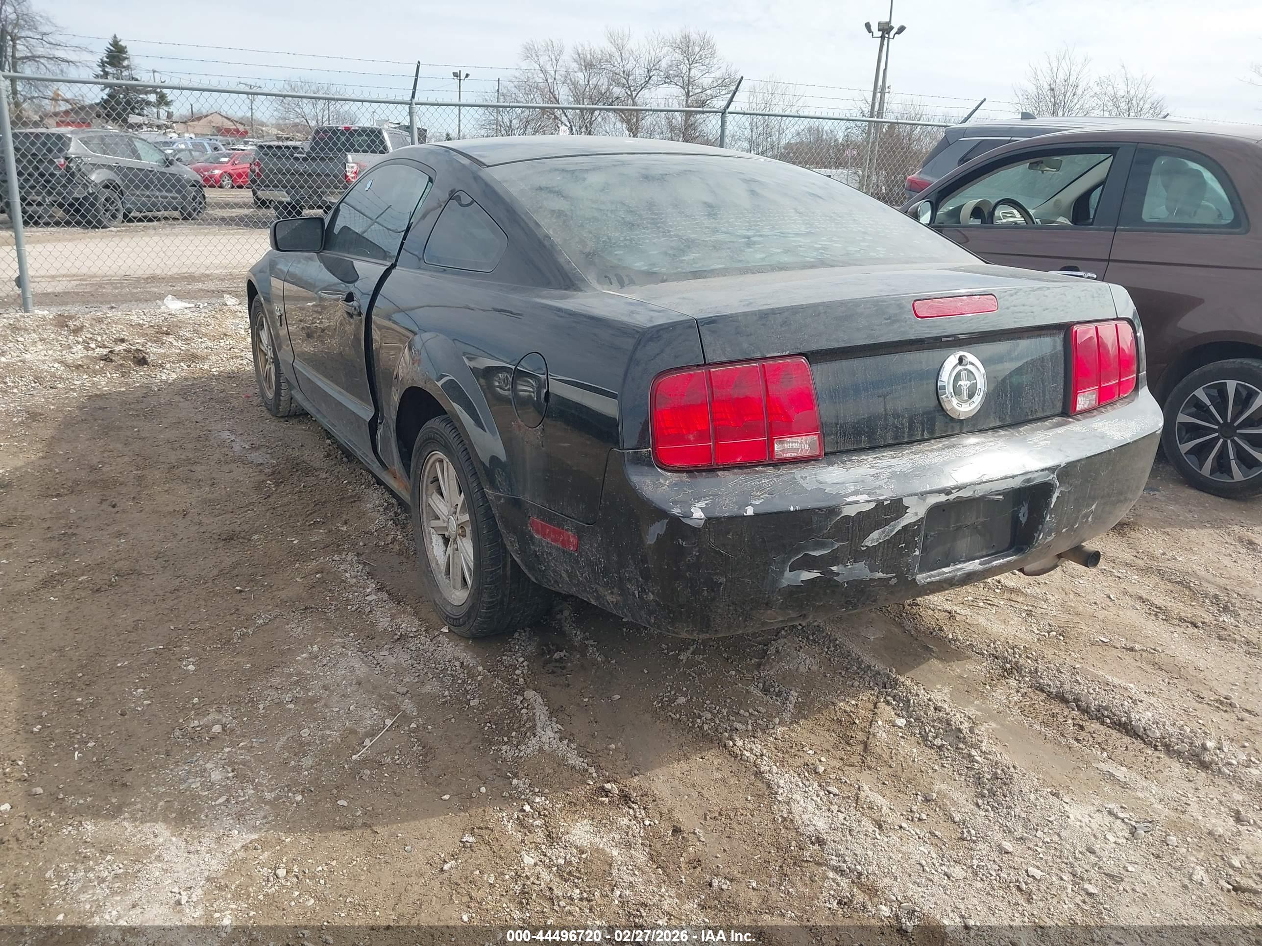 FORD MUSTANG image 3