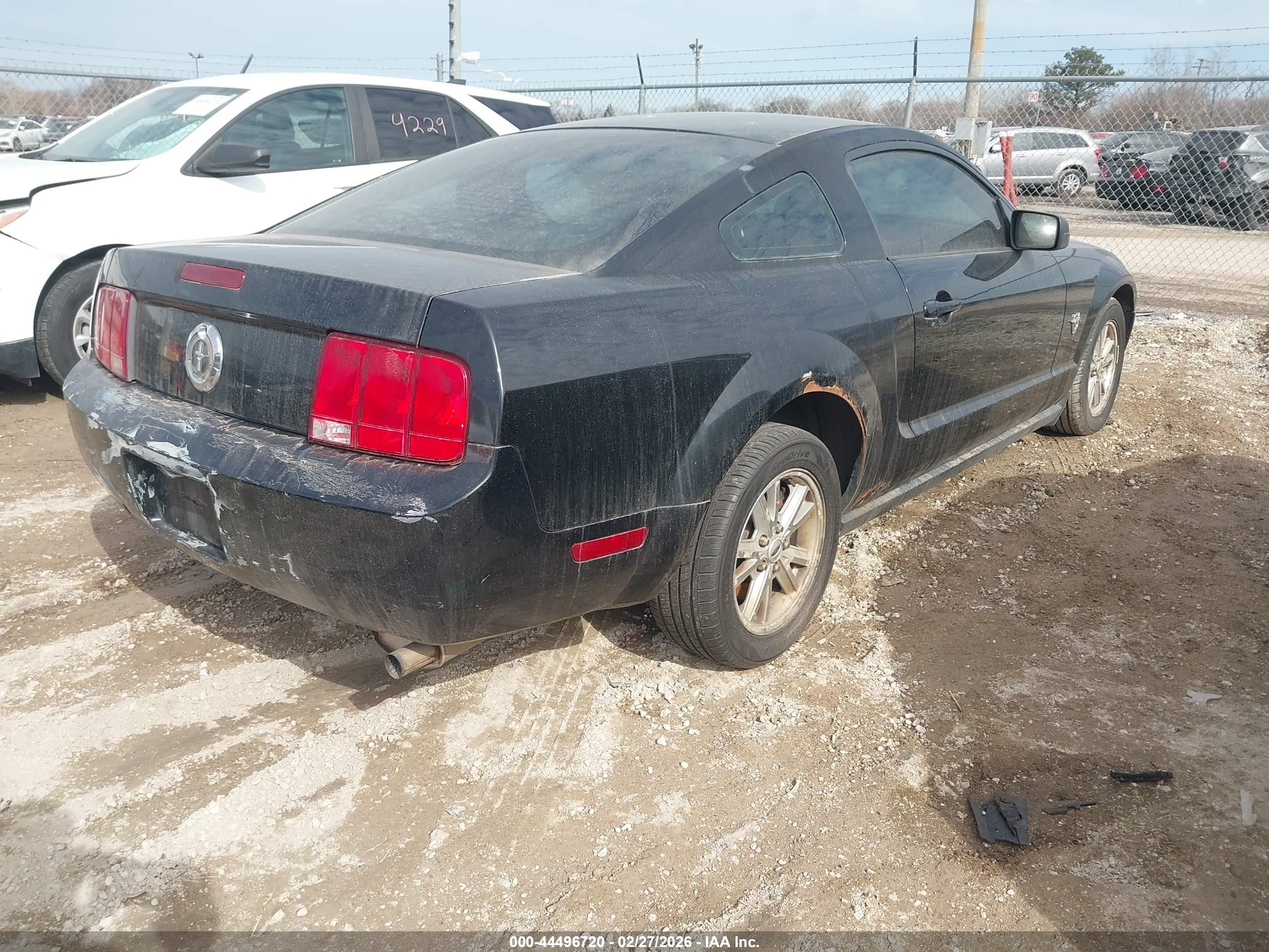 FORD MUSTANG image 4