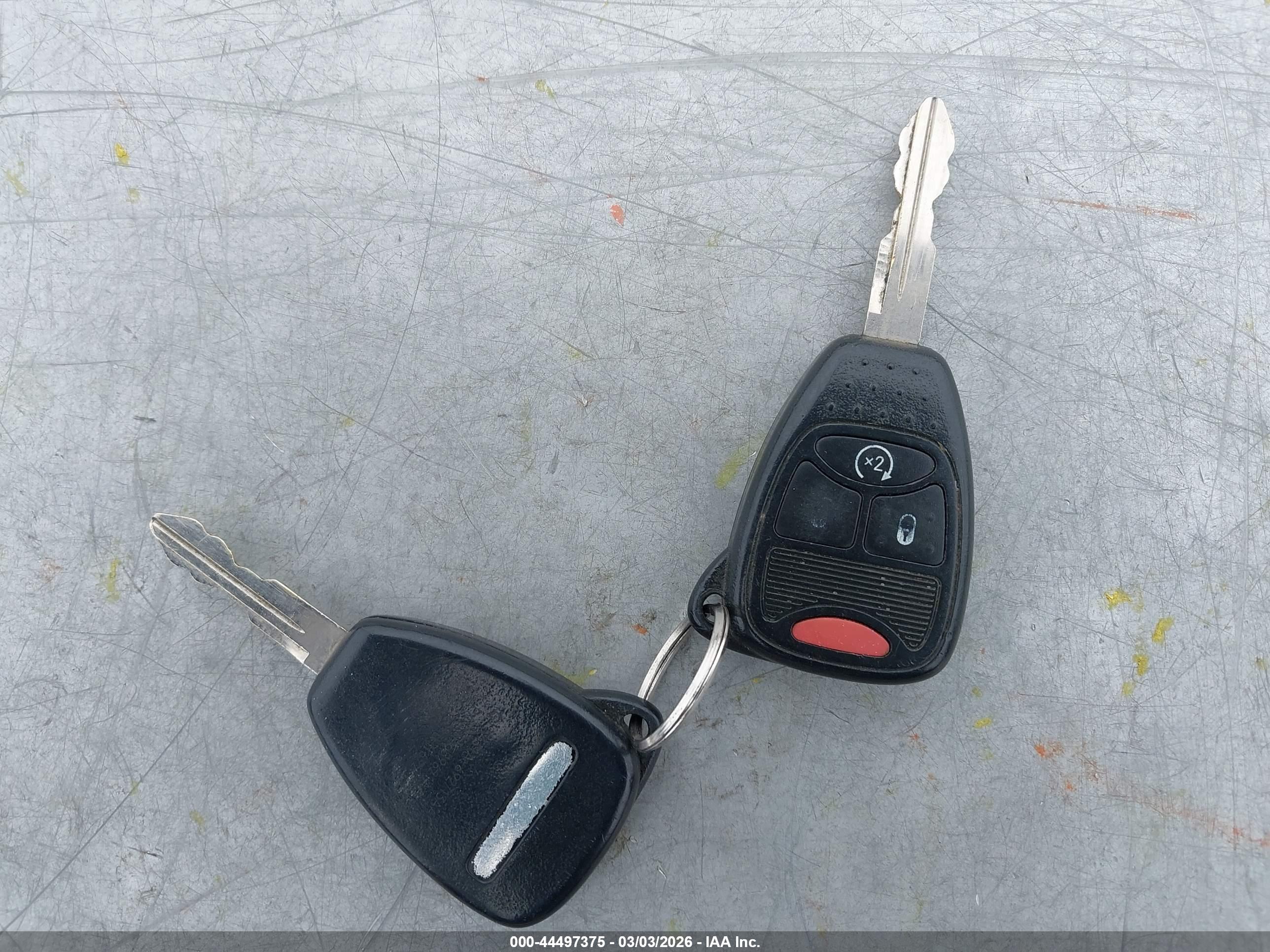JEEP WRANGLER image 11
