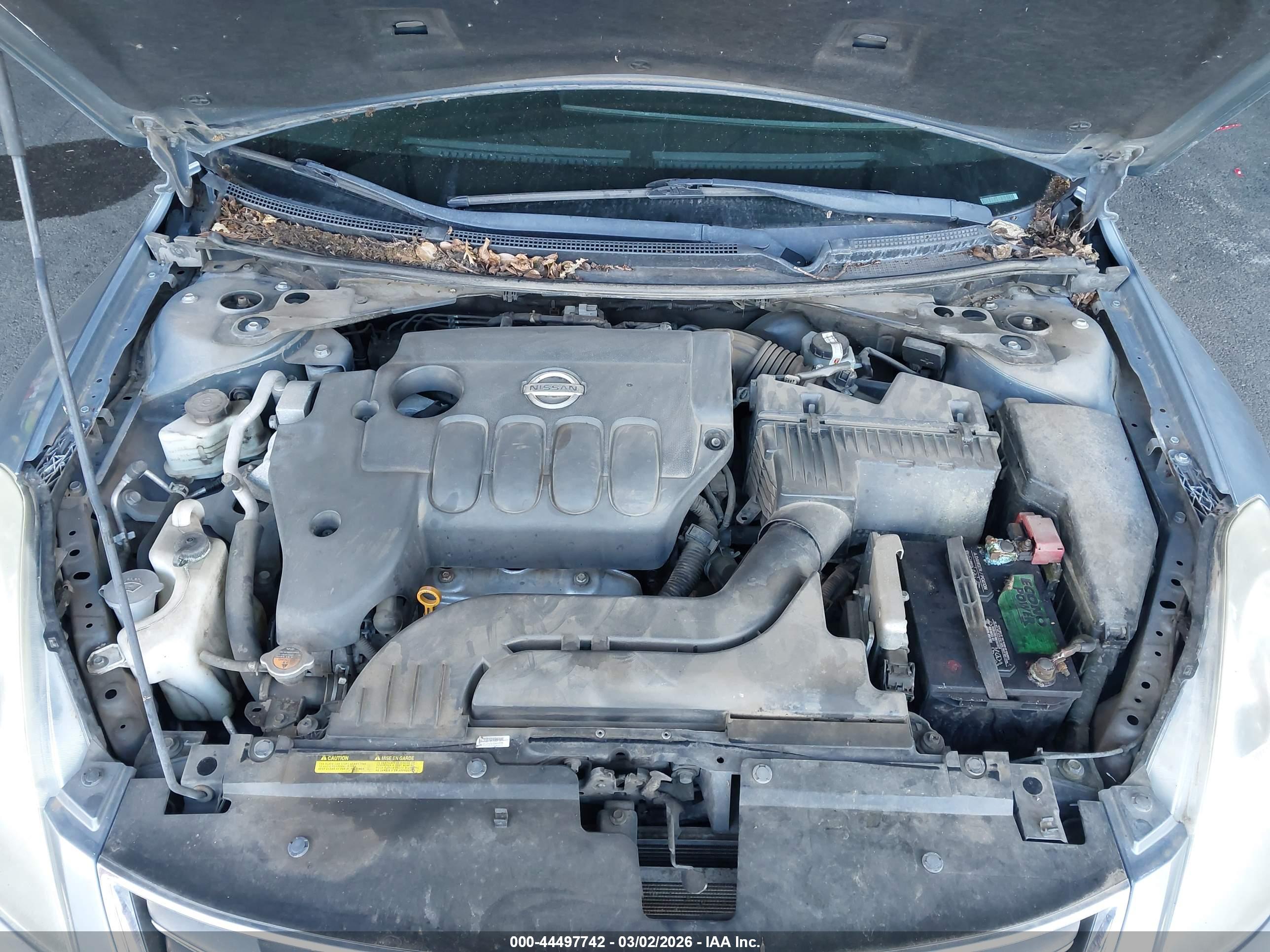 NISSAN ALTIMA image 10