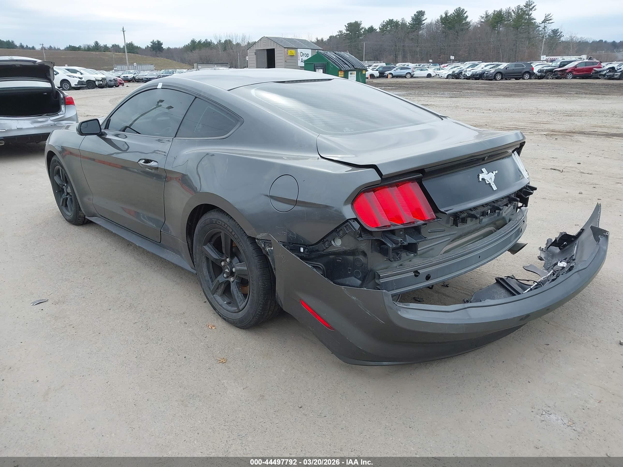 FORD MUSTANG image 3