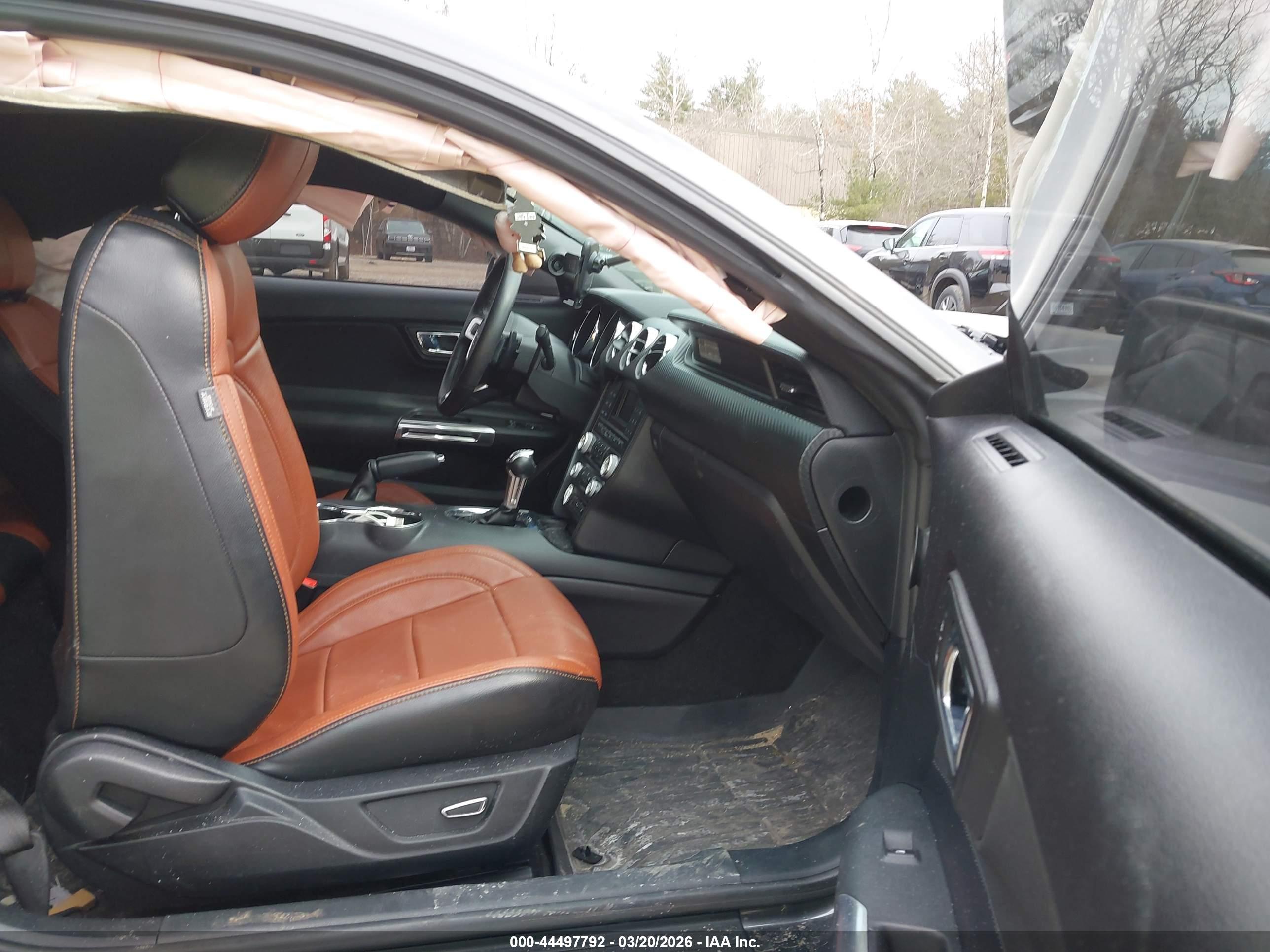 FORD MUSTANG image 5