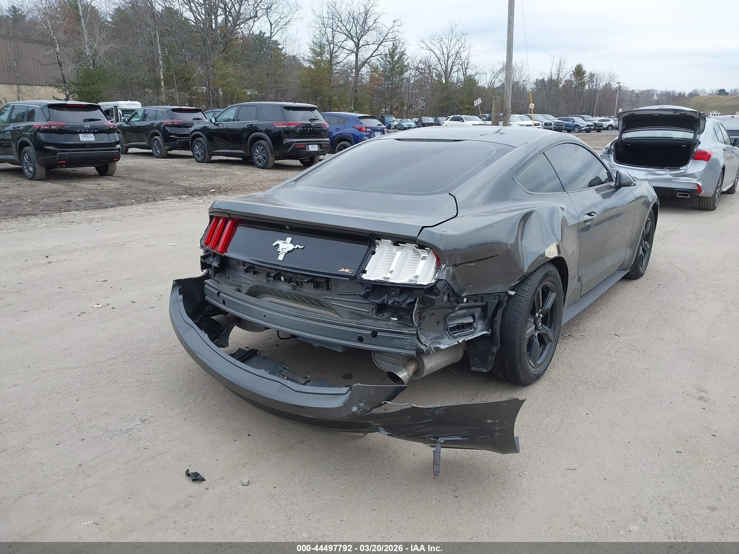 FORD MUSTANG image 6