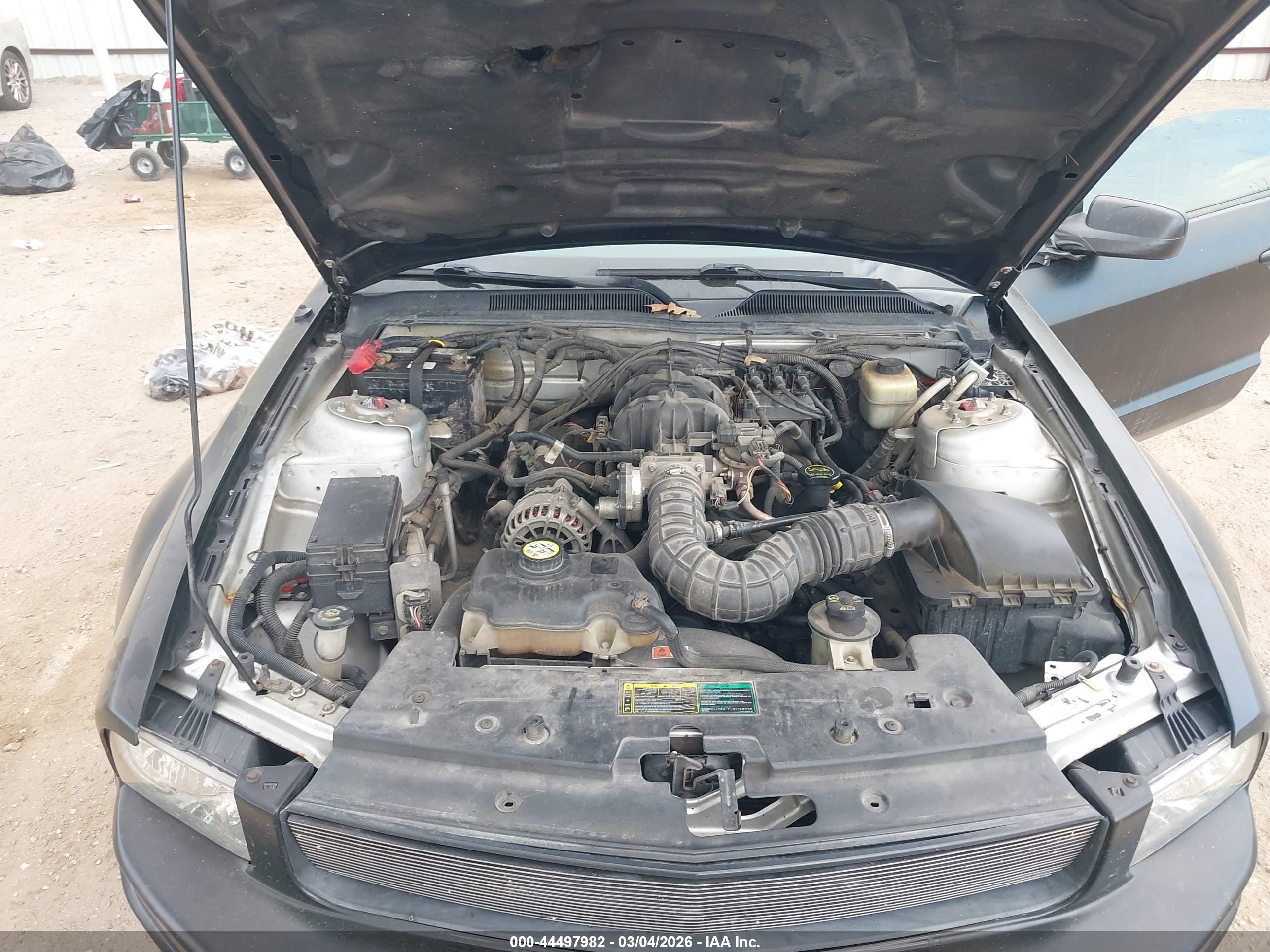 FORD MUSTANG image 10