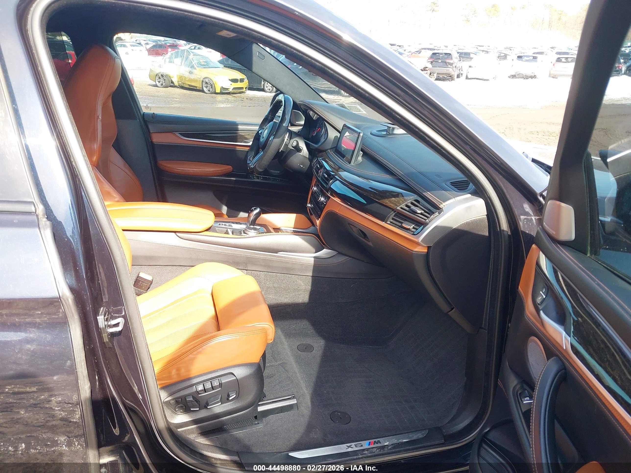 BMW X6 image 5