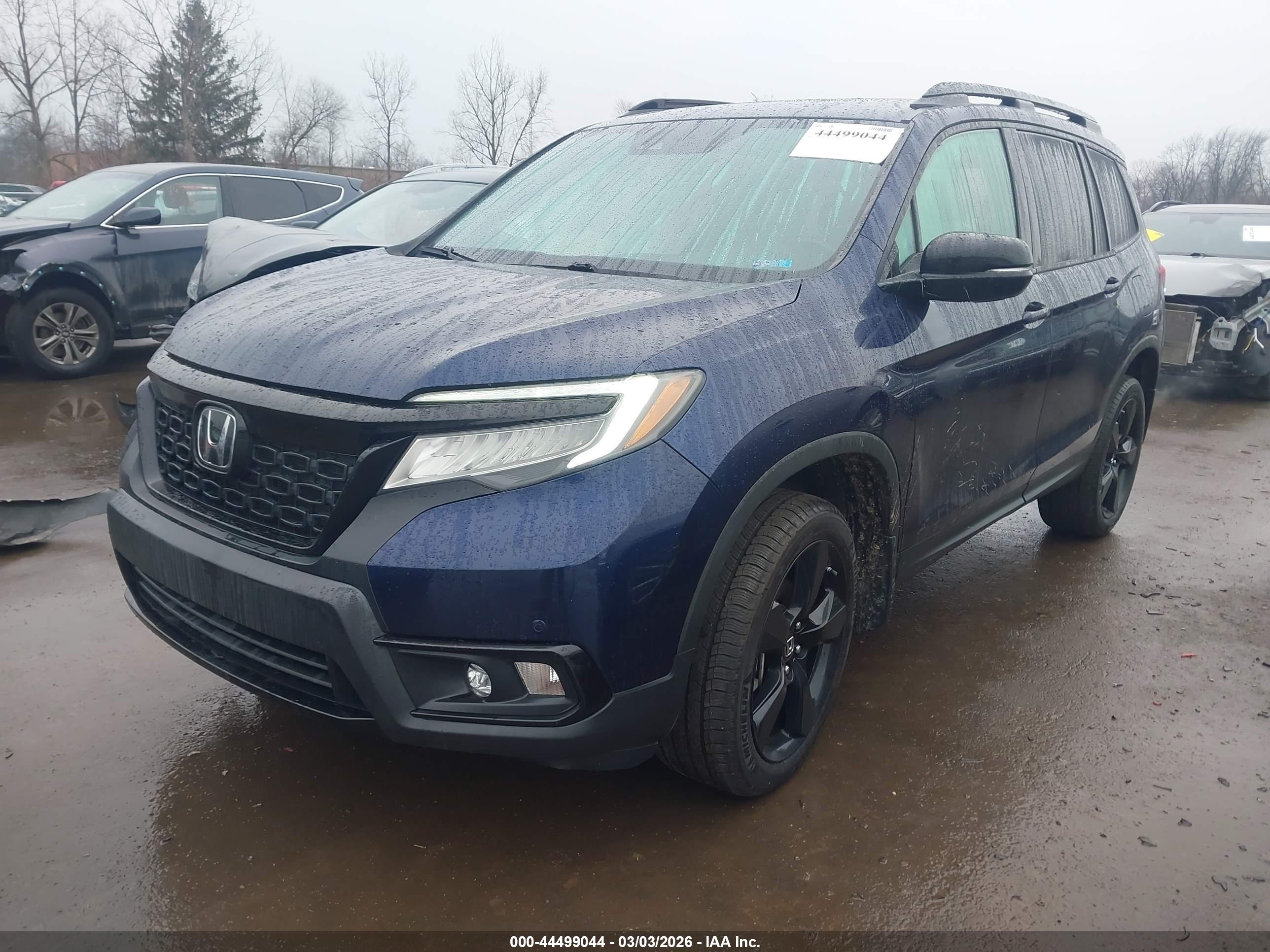 HONDA PASSPORT image 2