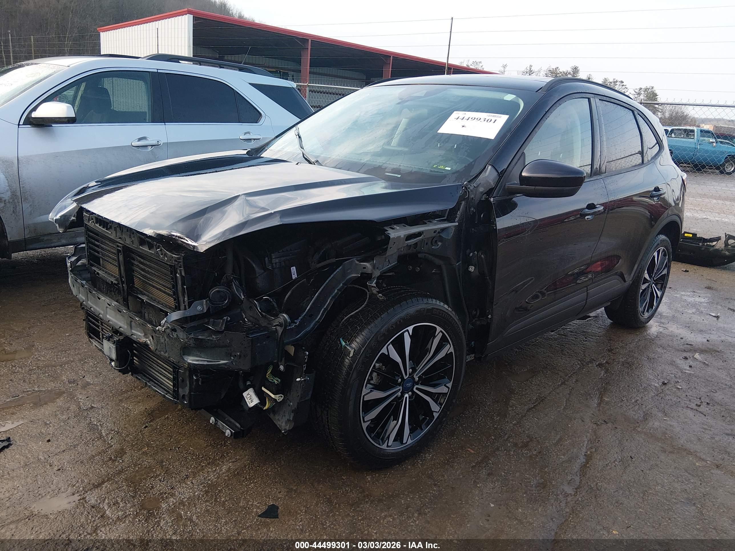 FORD ESCAPE image 2