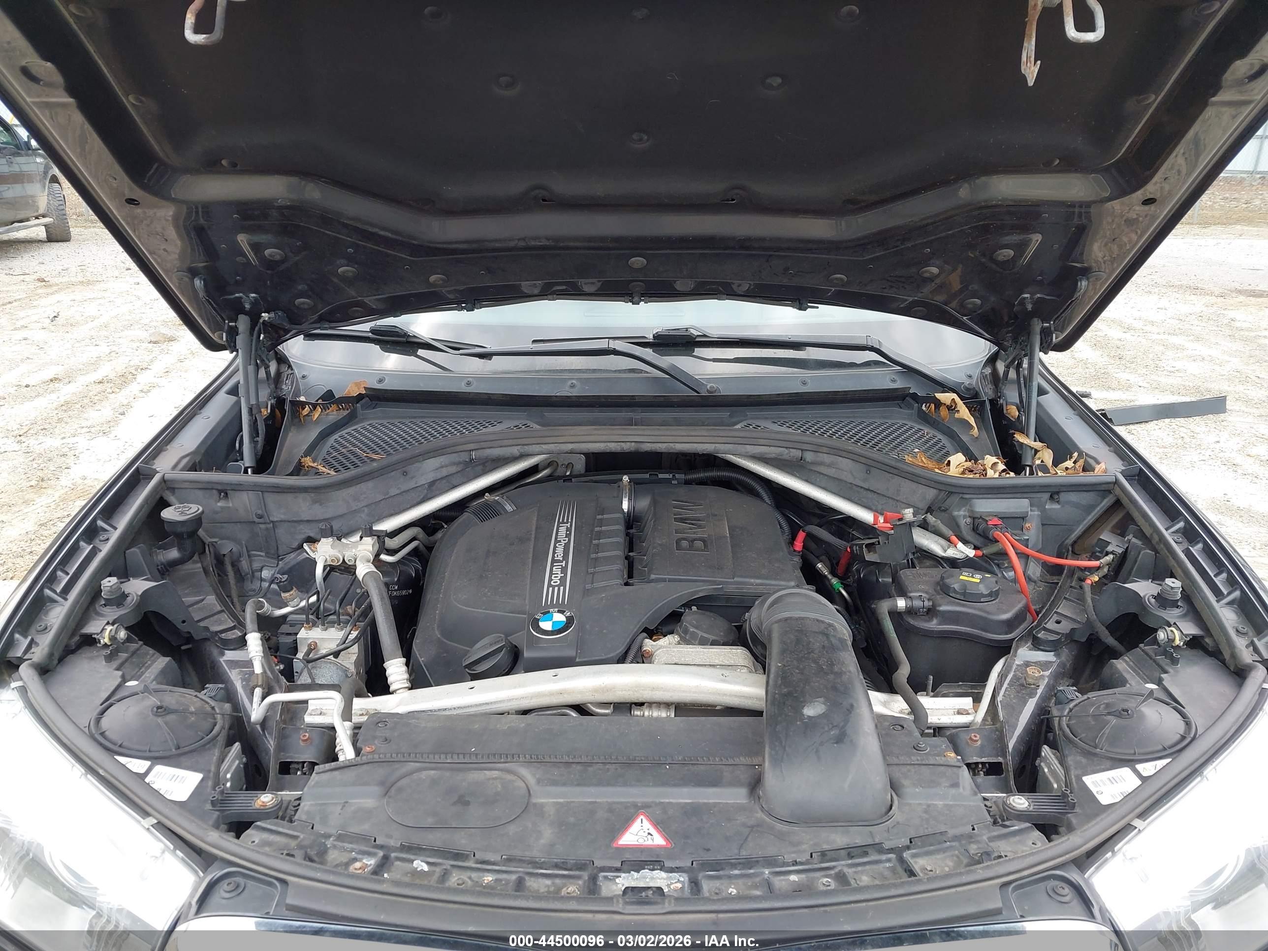 BMW X5 image 10