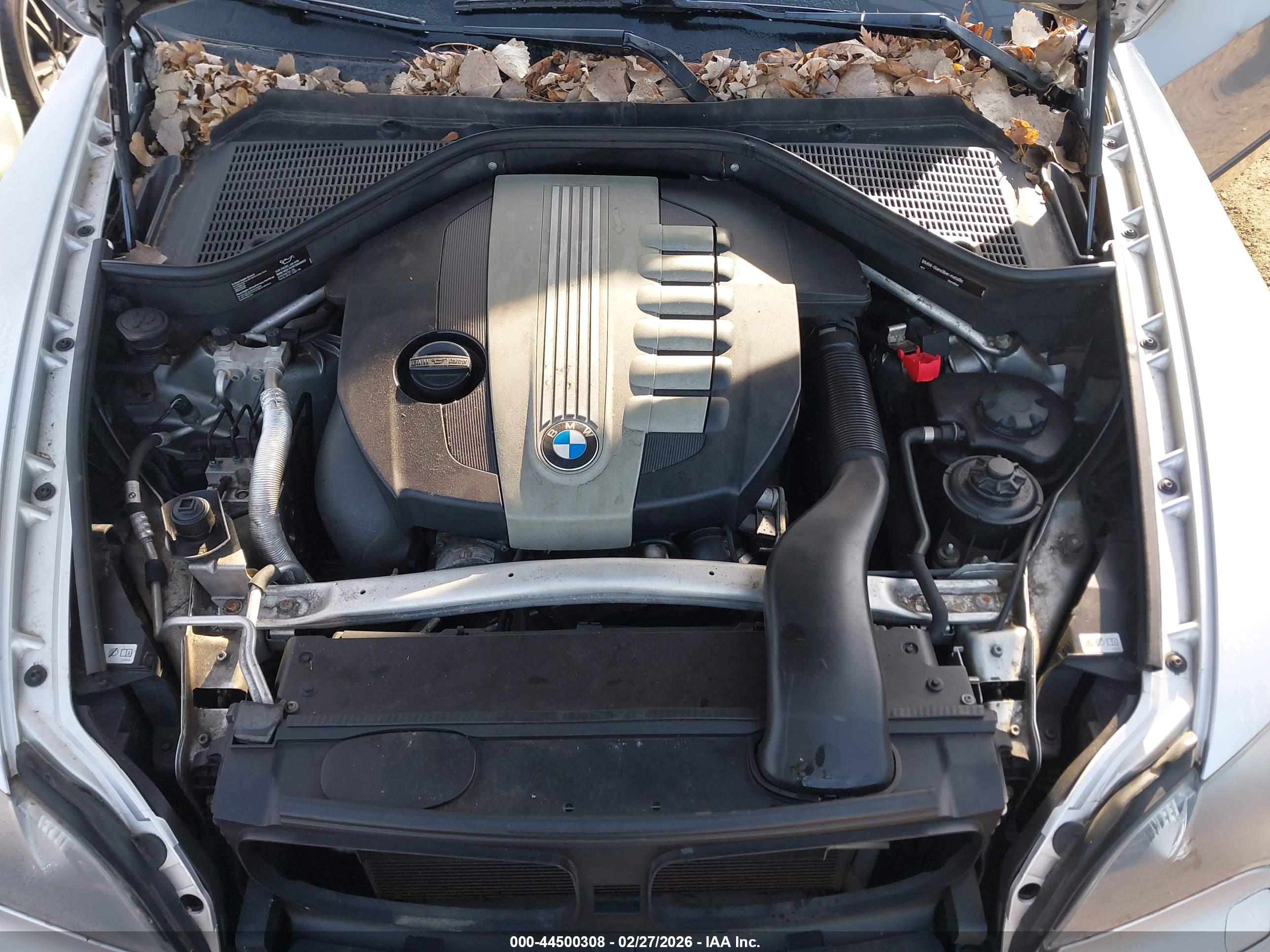 BMW X5 image 10