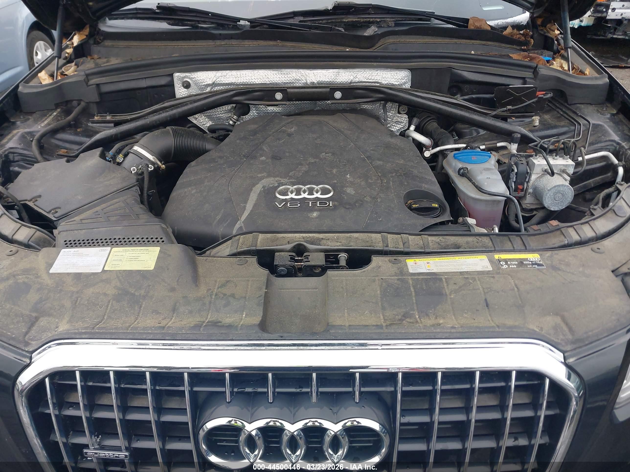 AUDI Q5 image 10