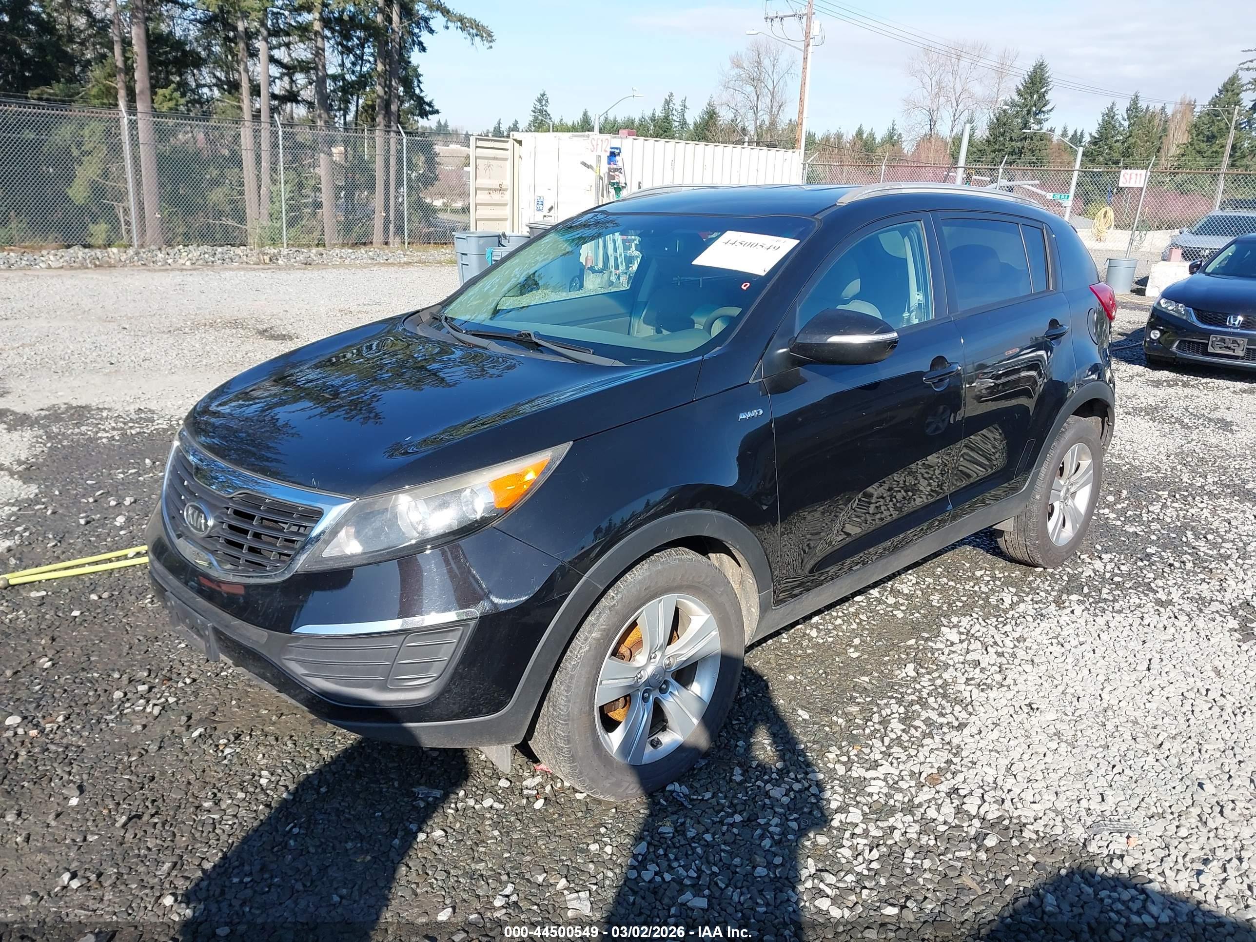 KIA SPORTAGE image 2