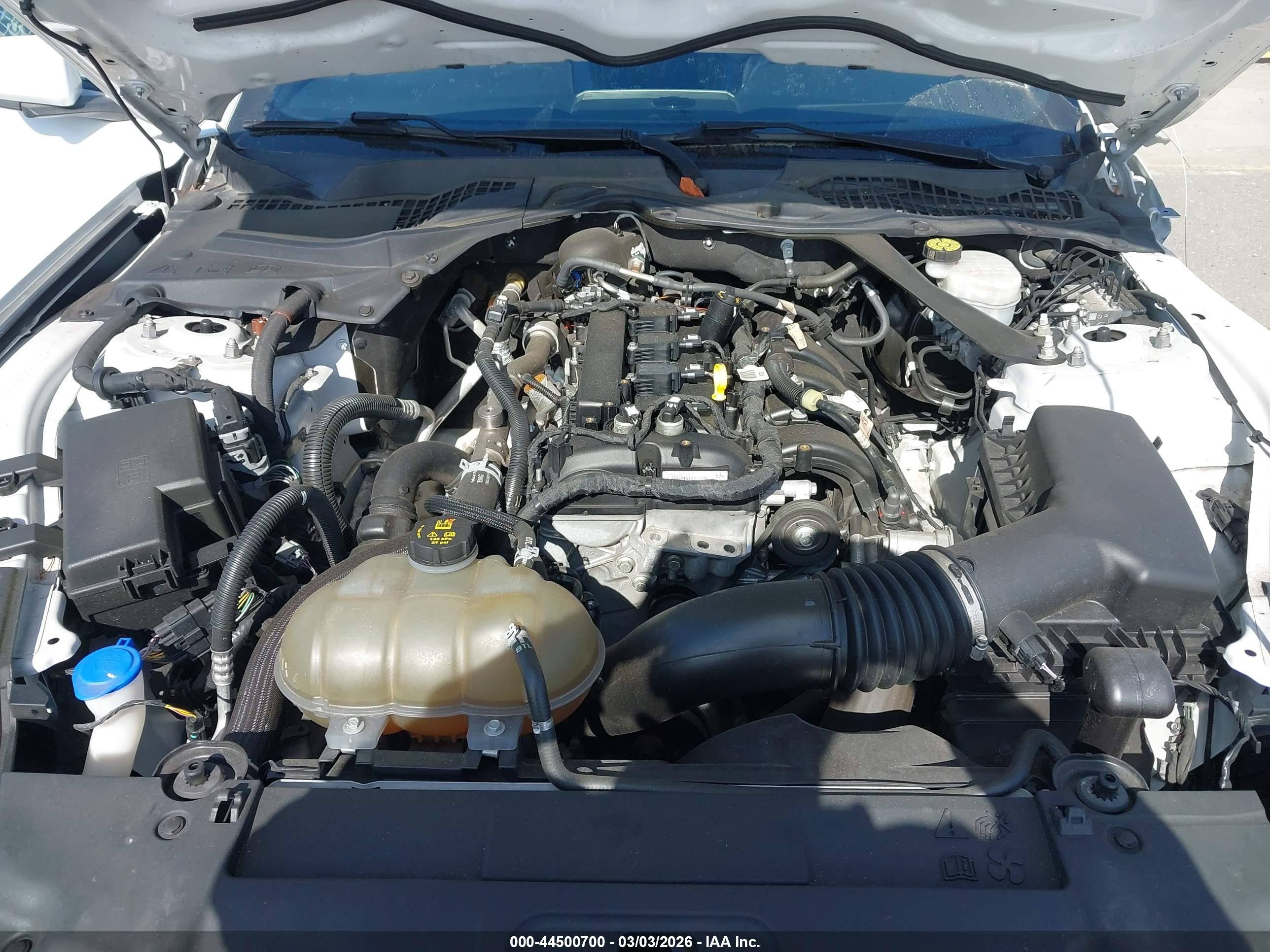 FORD MUSTANG image 10
