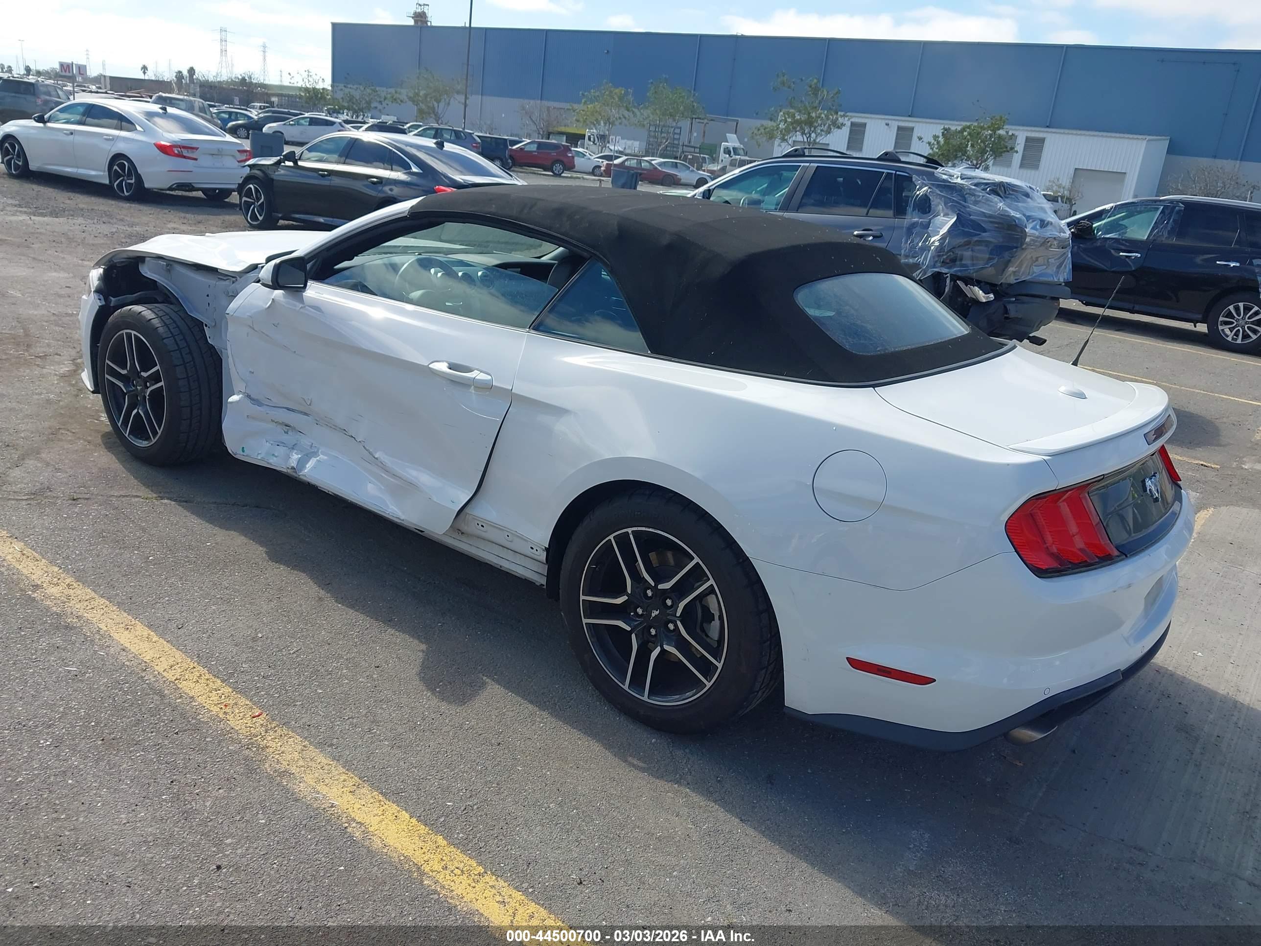 FORD MUSTANG image 3