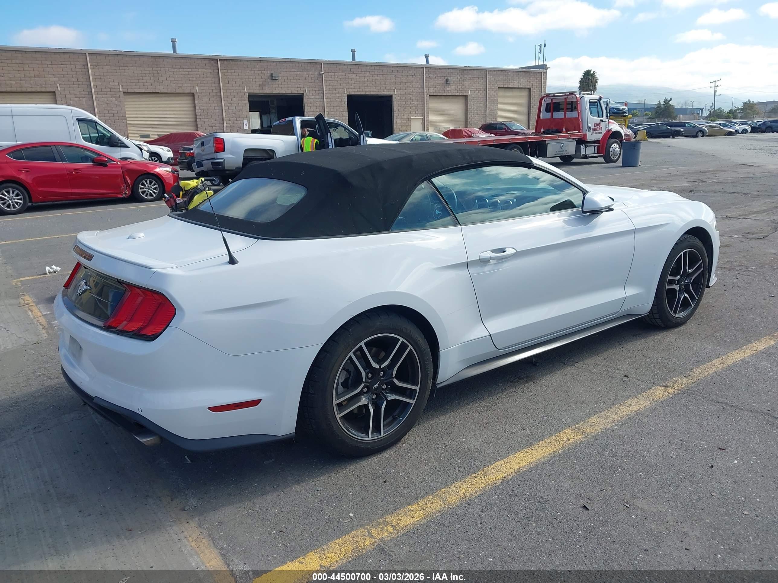 FORD MUSTANG image 4