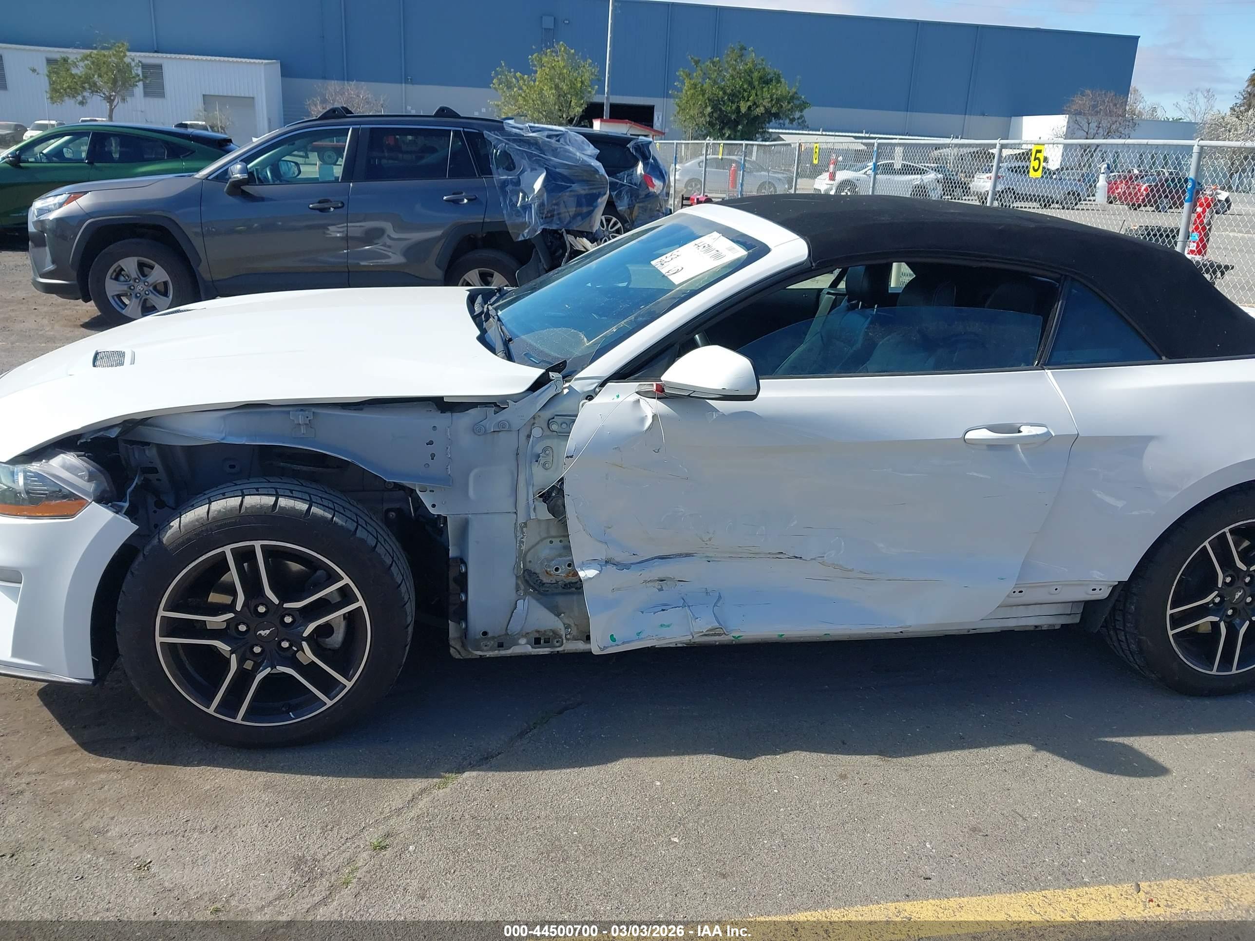 FORD MUSTANG image 6