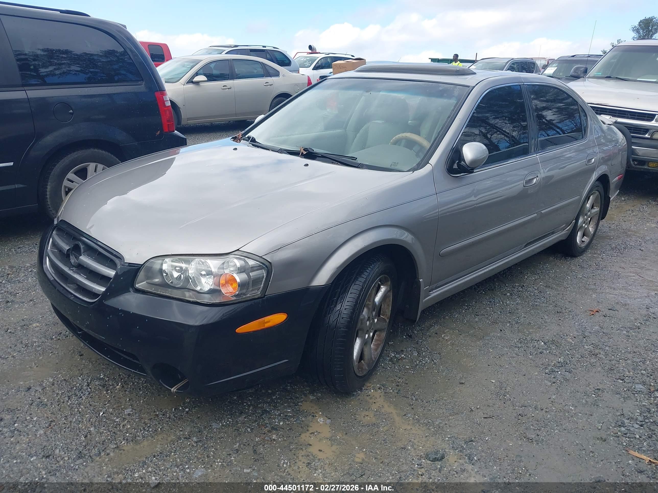 NISSAN MAXIMA image 2