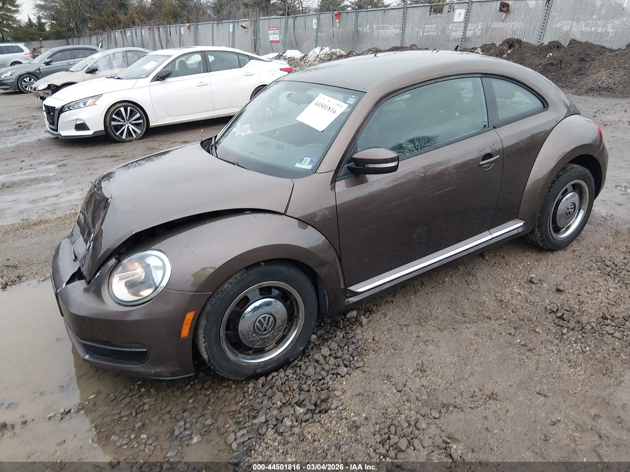 VOLKSWAGEN BEETLE image 2