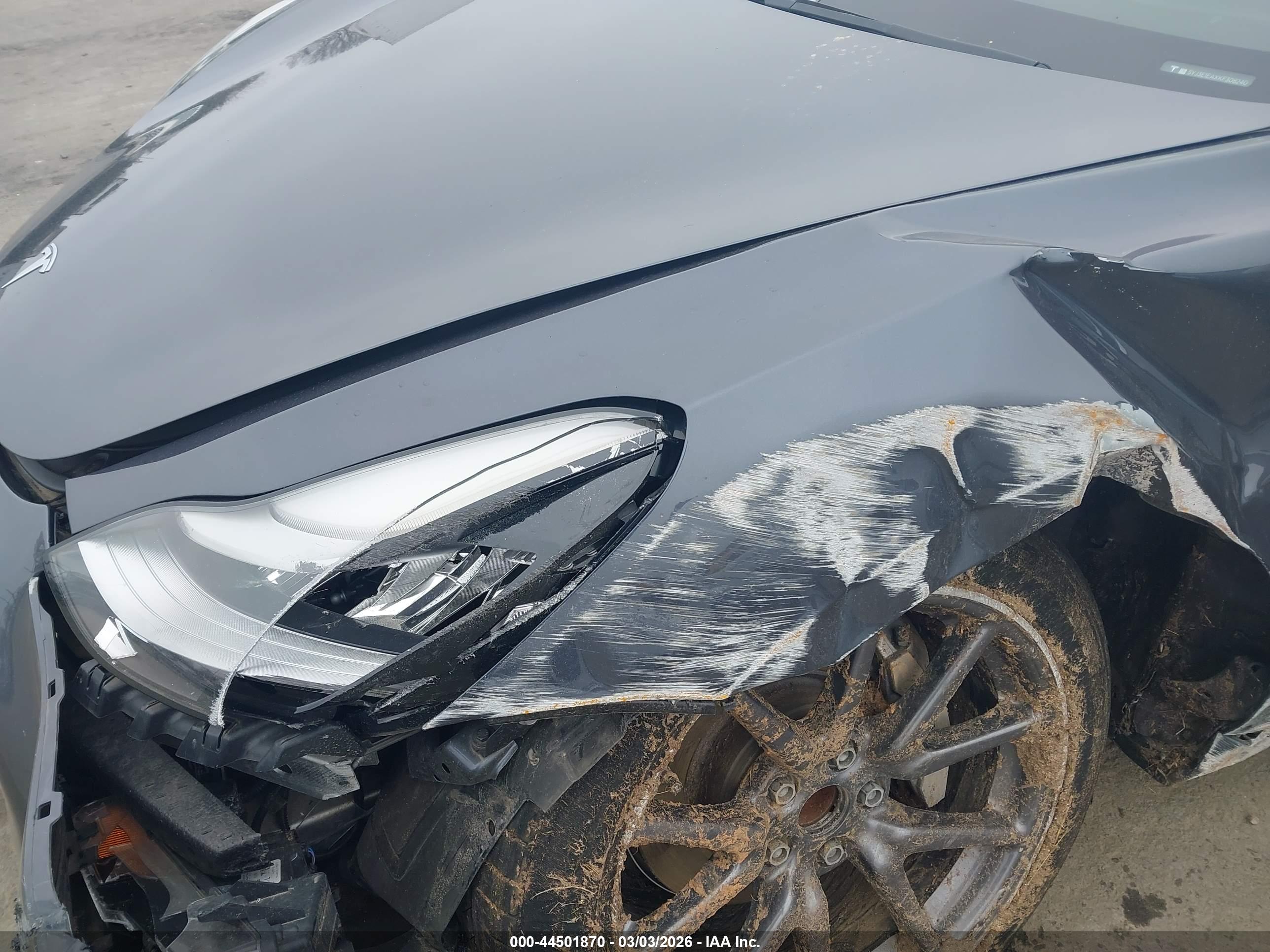 TESLA MODEL image 6