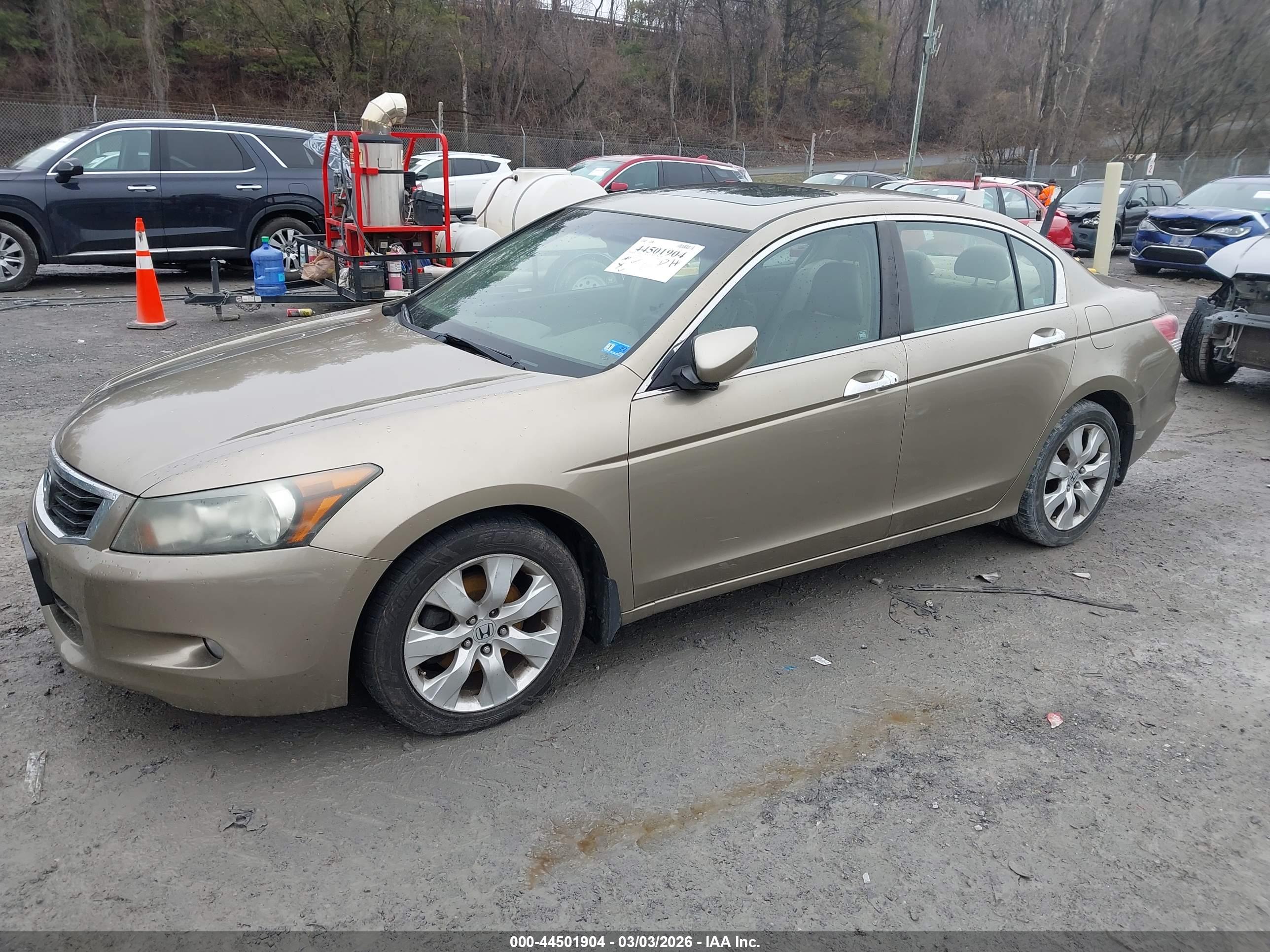 HONDA ACCORD image 2