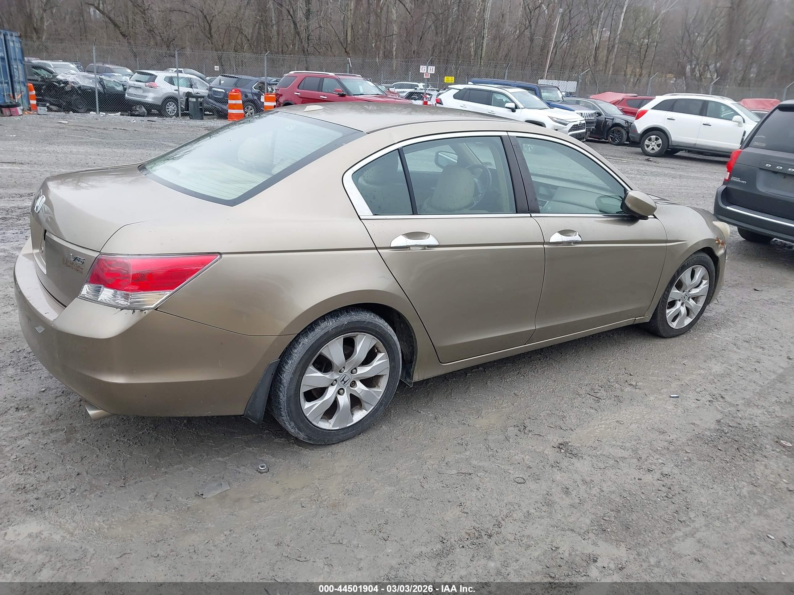 HONDA ACCORD image 4