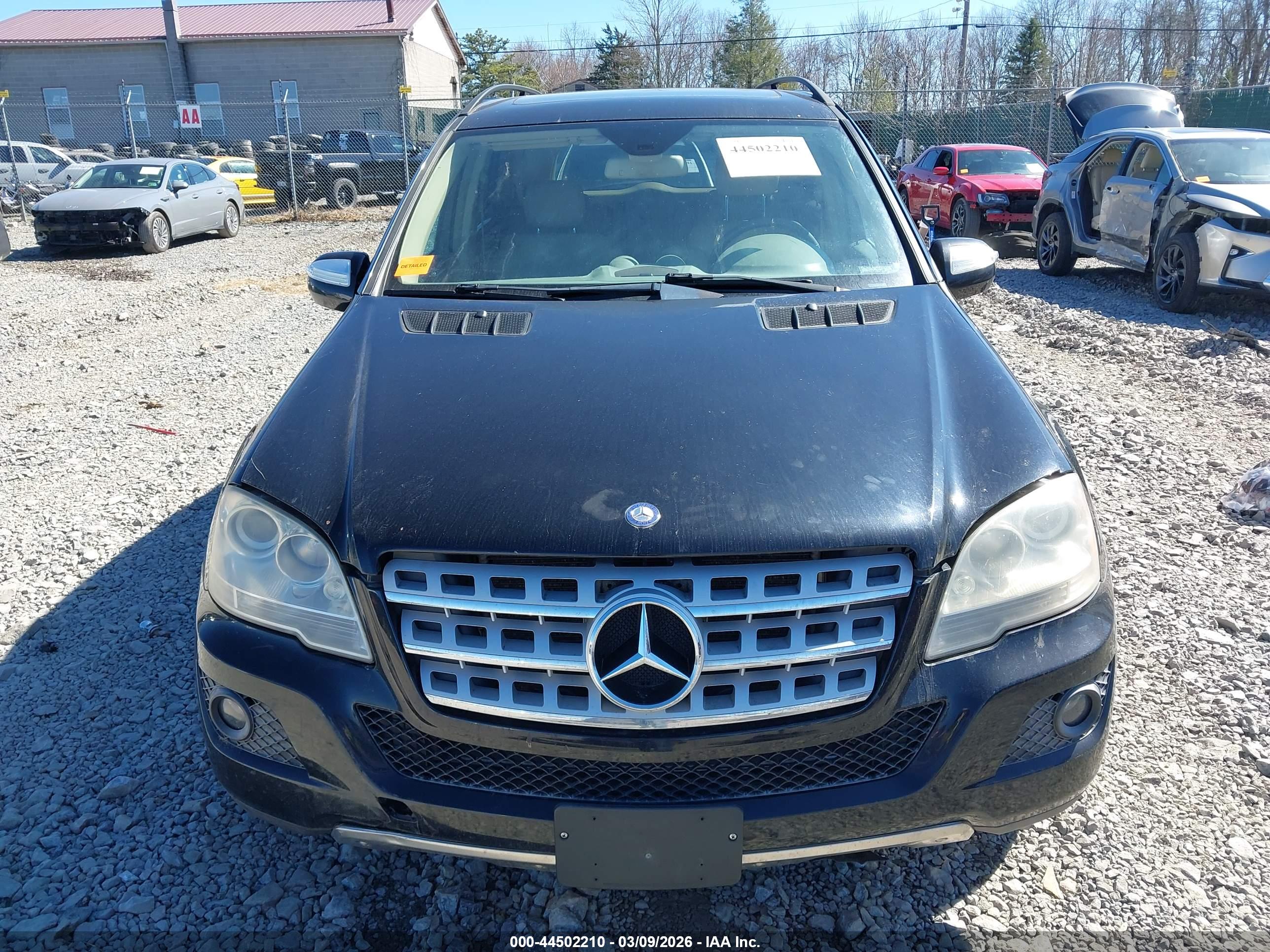 MERCEDES-BENZ ML image 6