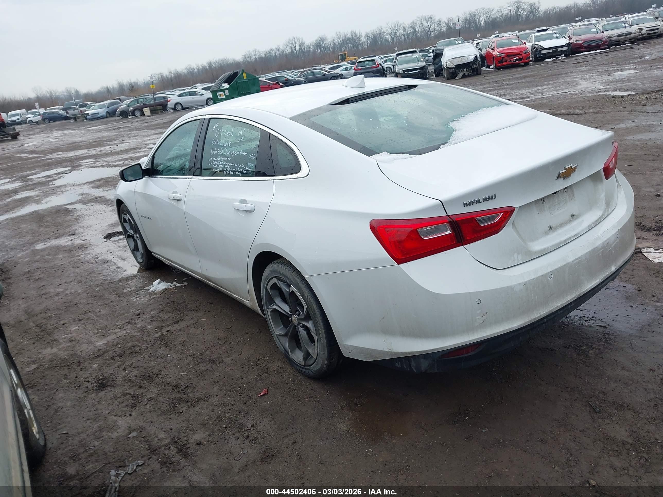CHEVROLET MALIBU image 3