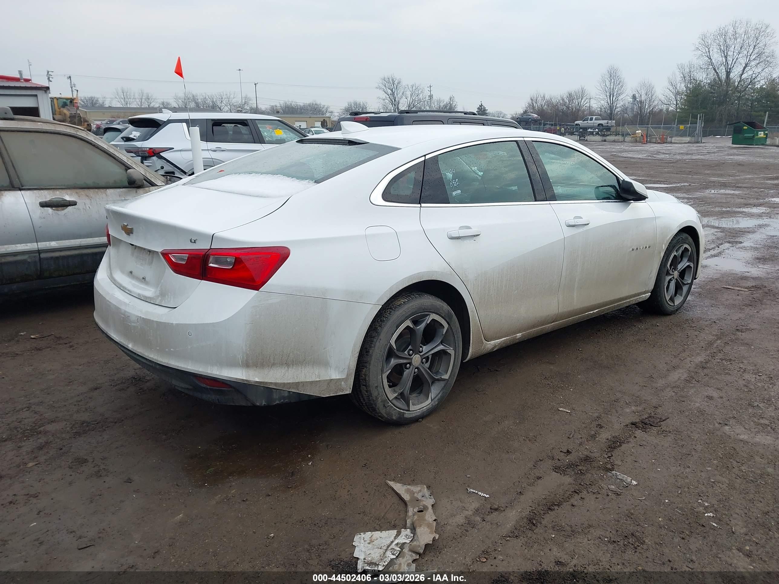 CHEVROLET MALIBU image 4
