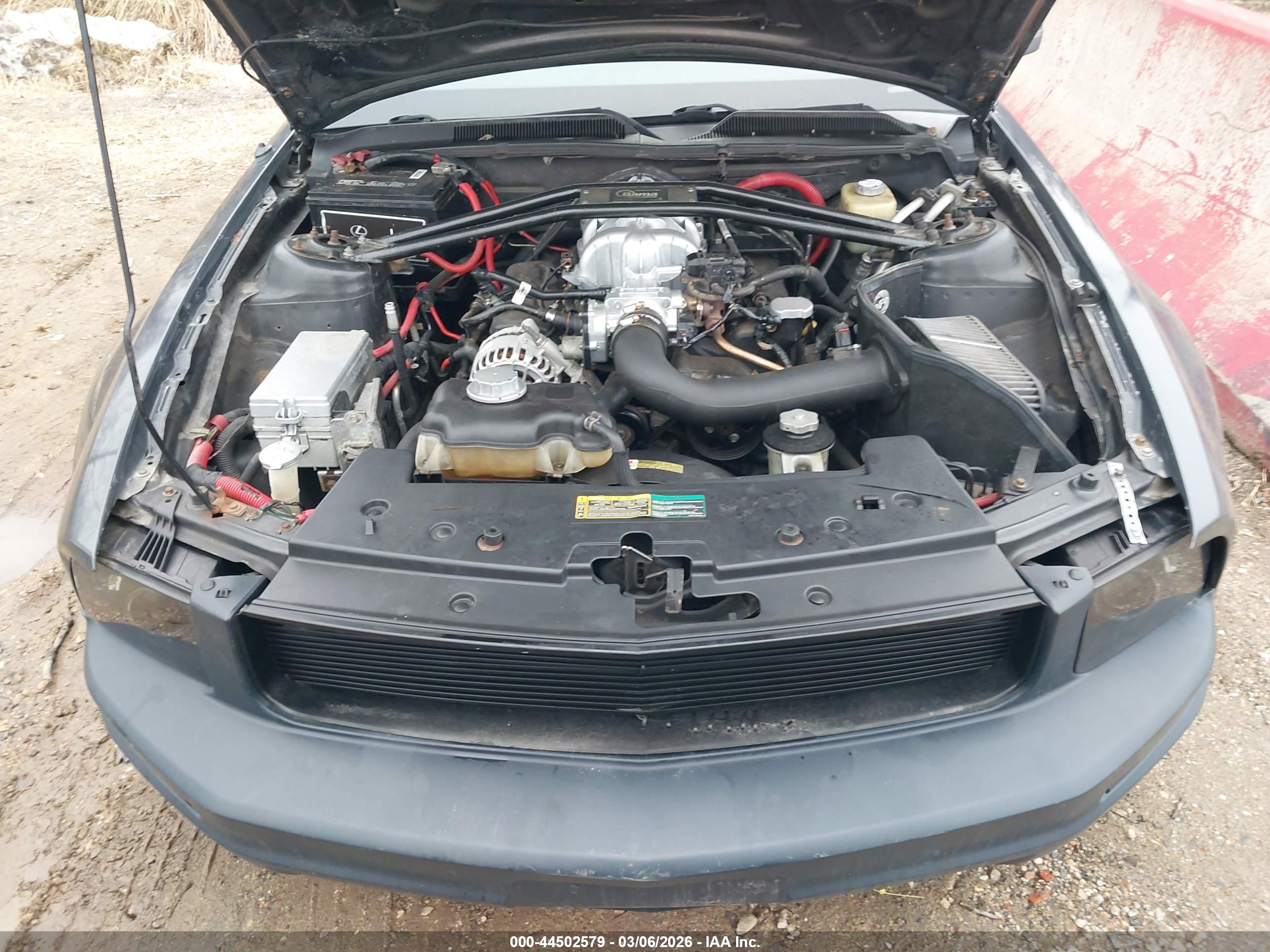FORD MUSTANG image 10