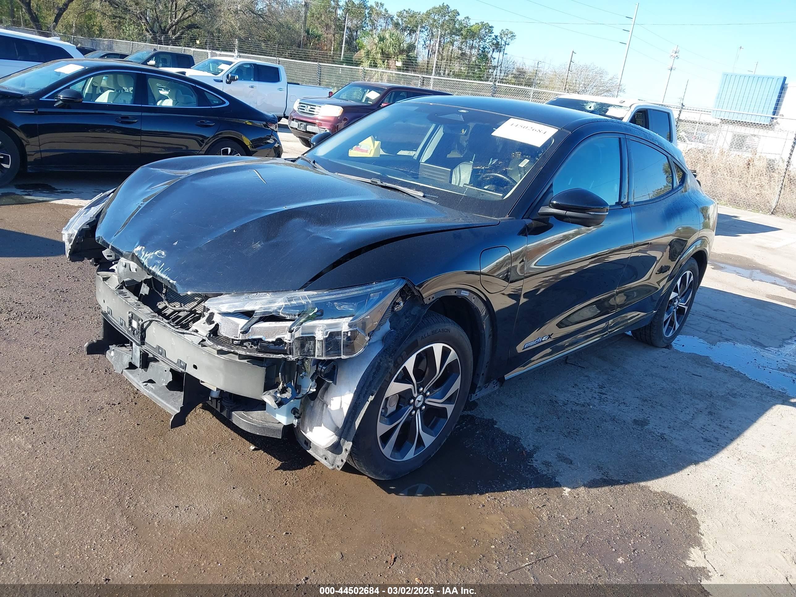 FORD MUSTANG image 2