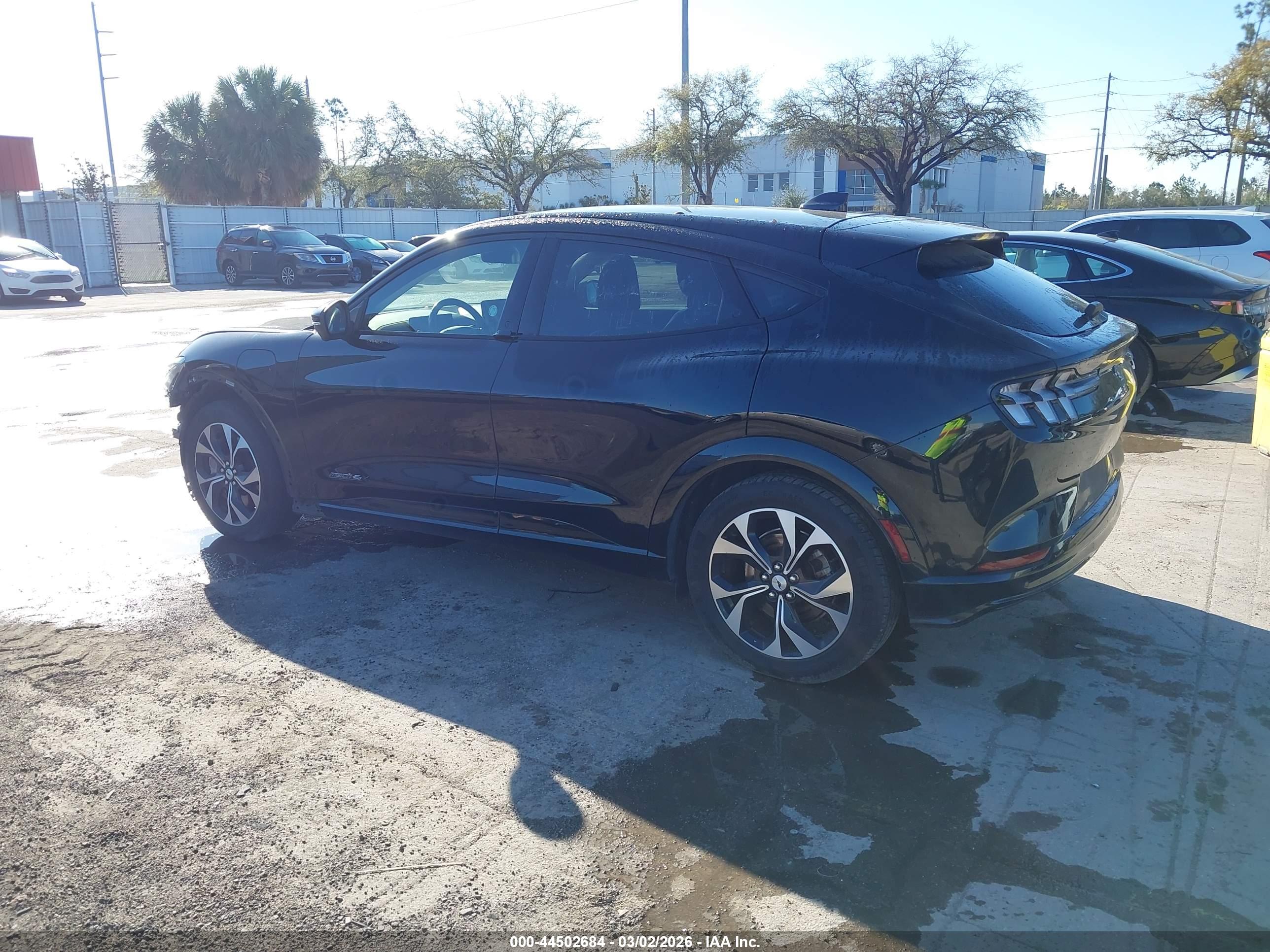 FORD MUSTANG image 3