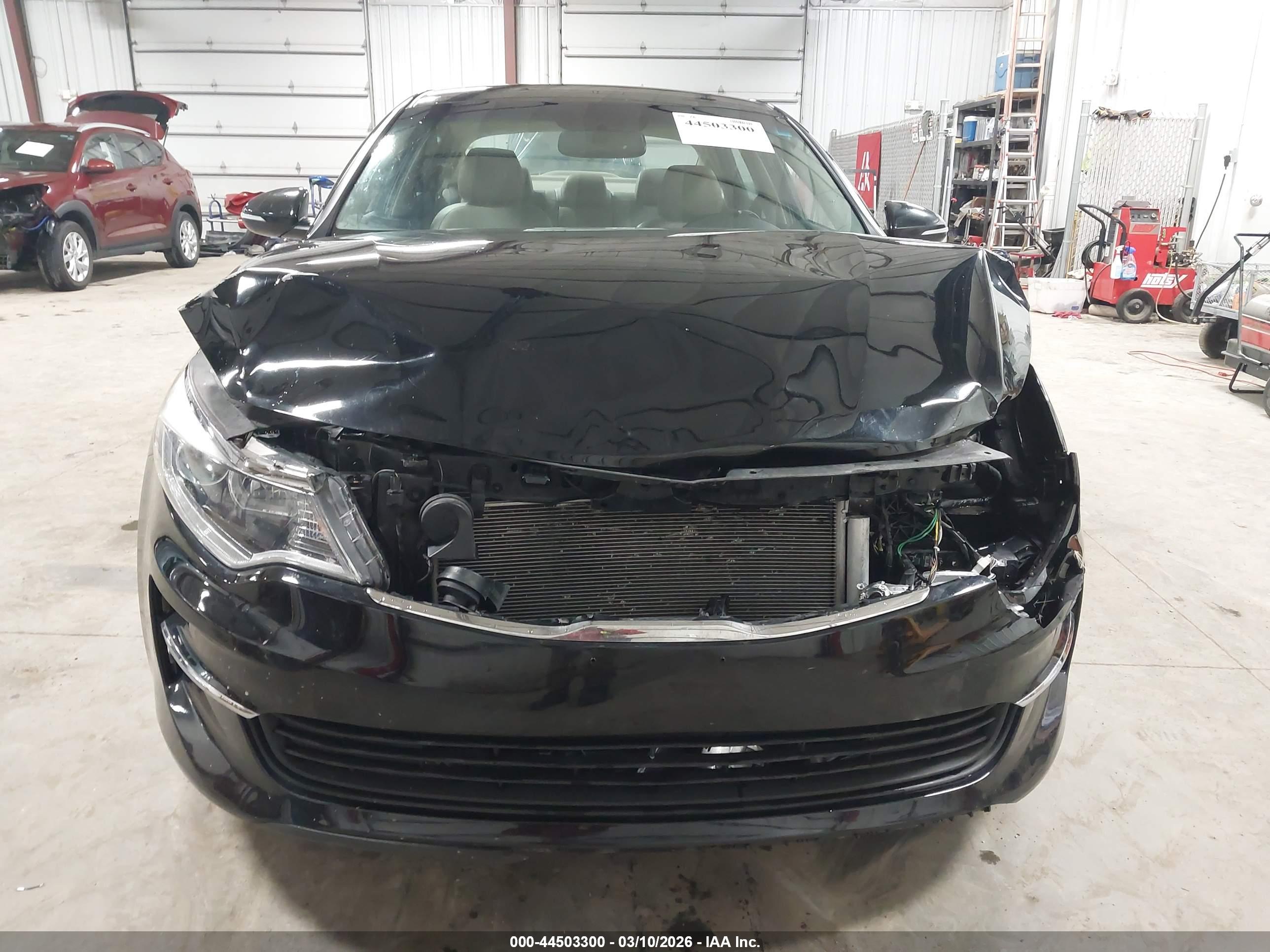 KIA OPTIMA image 6