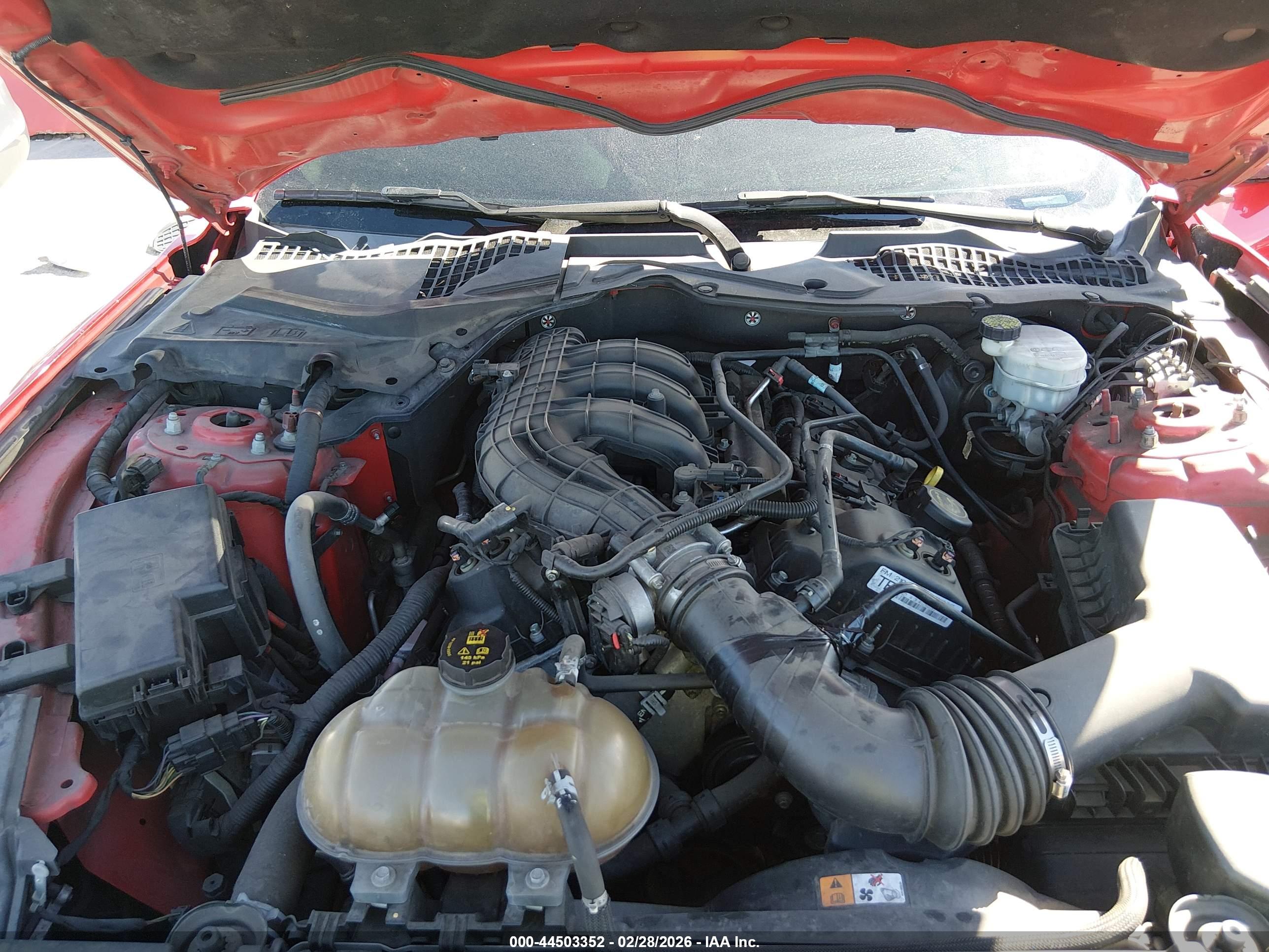 FORD MUSTANG image 10