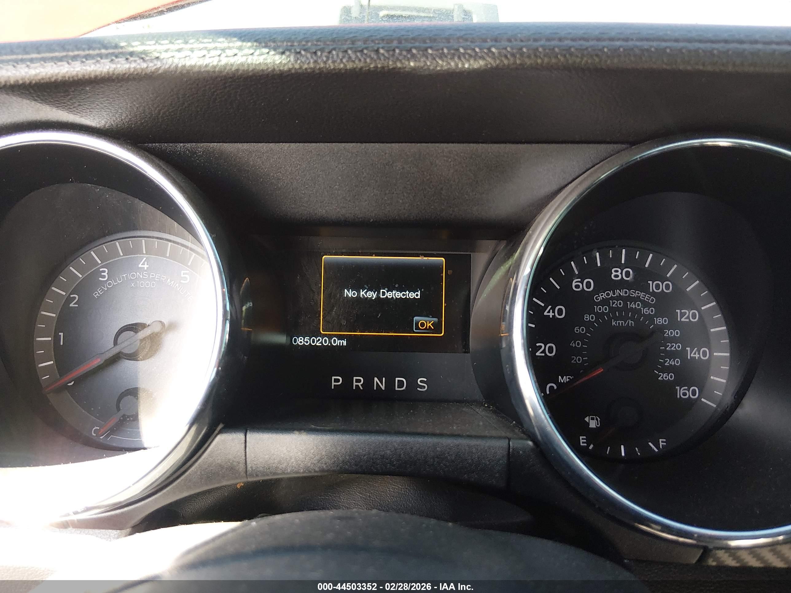 FORD MUSTANG image 7