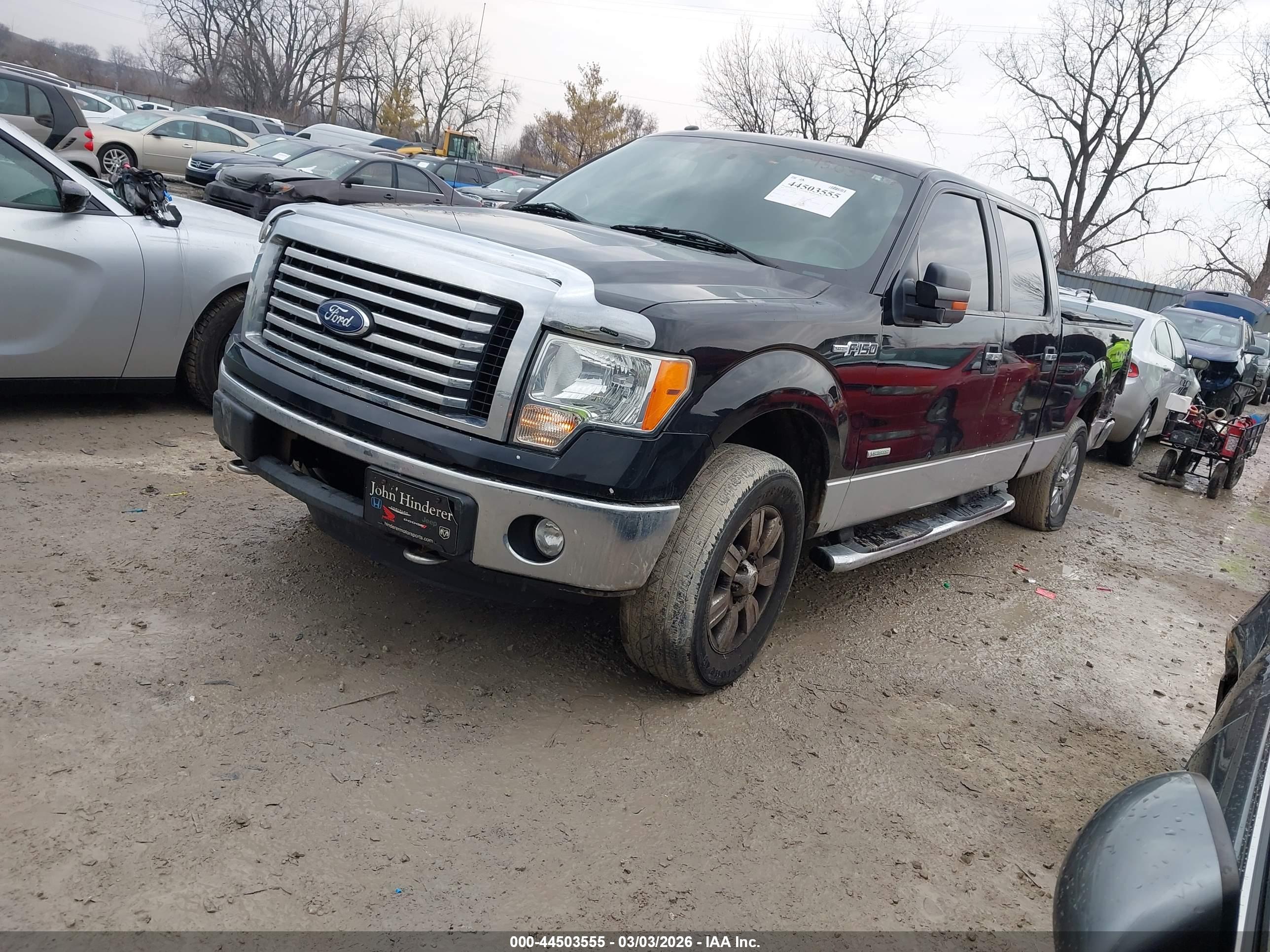 FORD F-150 image 2