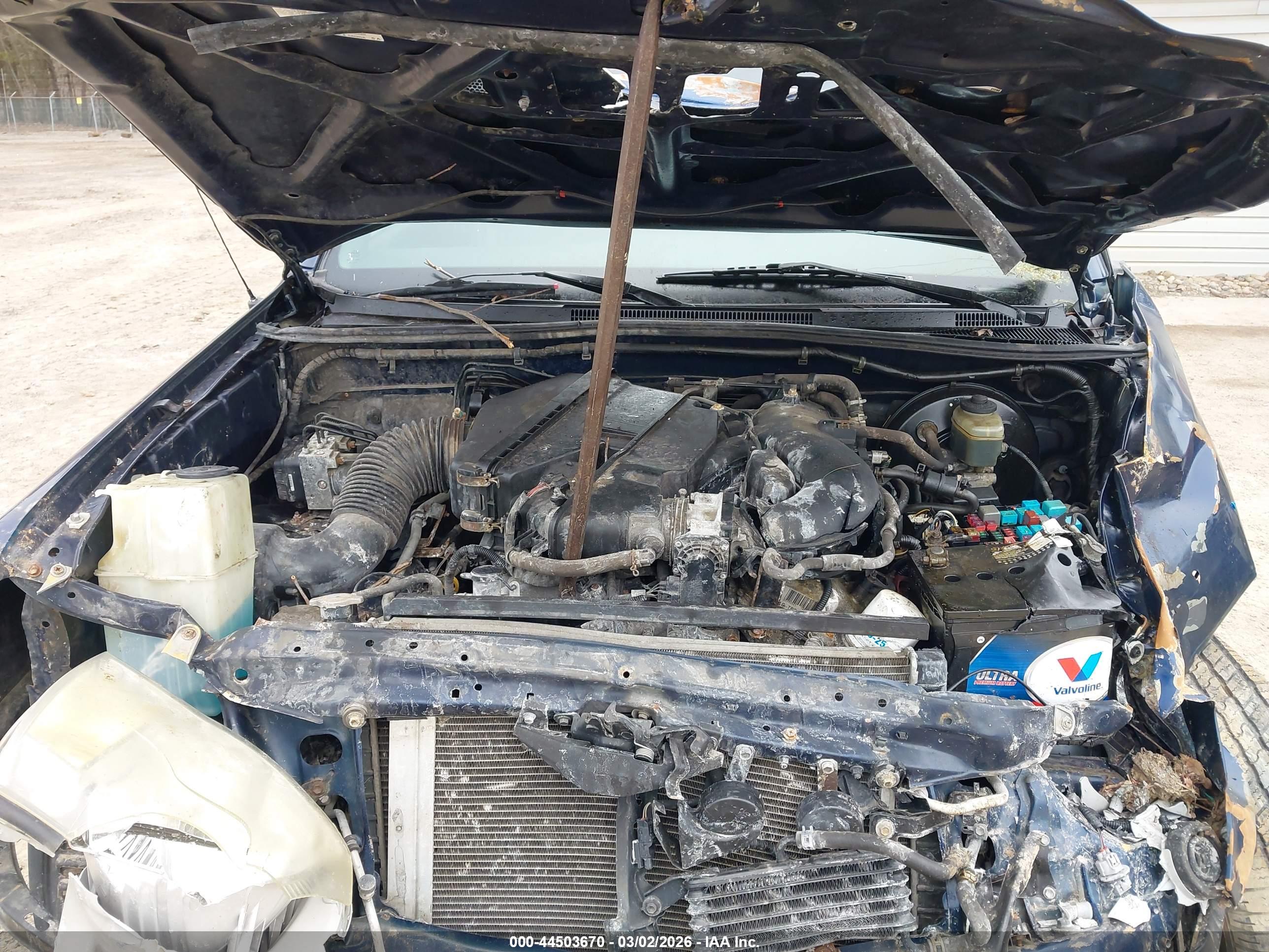 TOYOTA TACOMA image 10