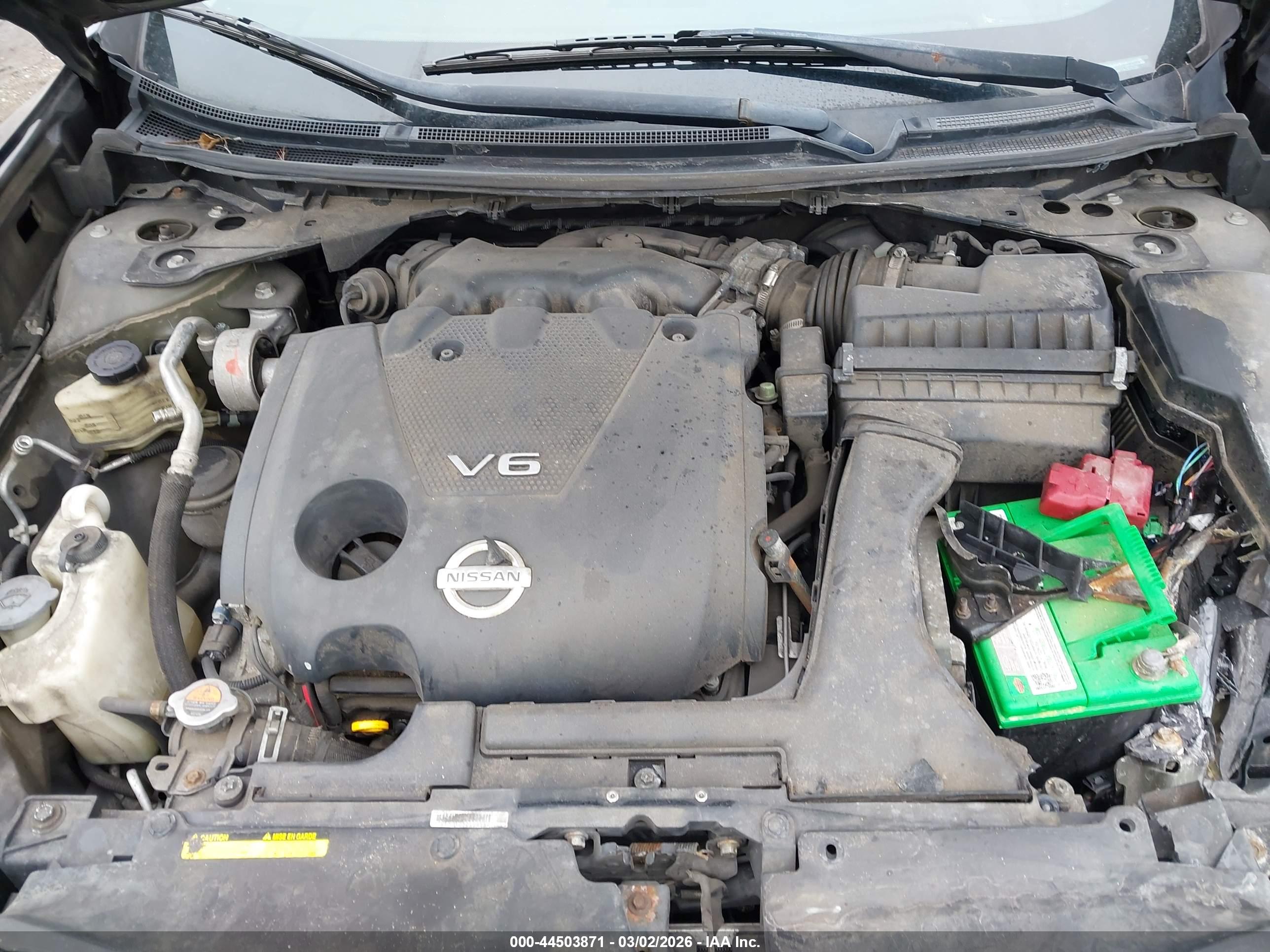 NISSAN MAXIMA image 10