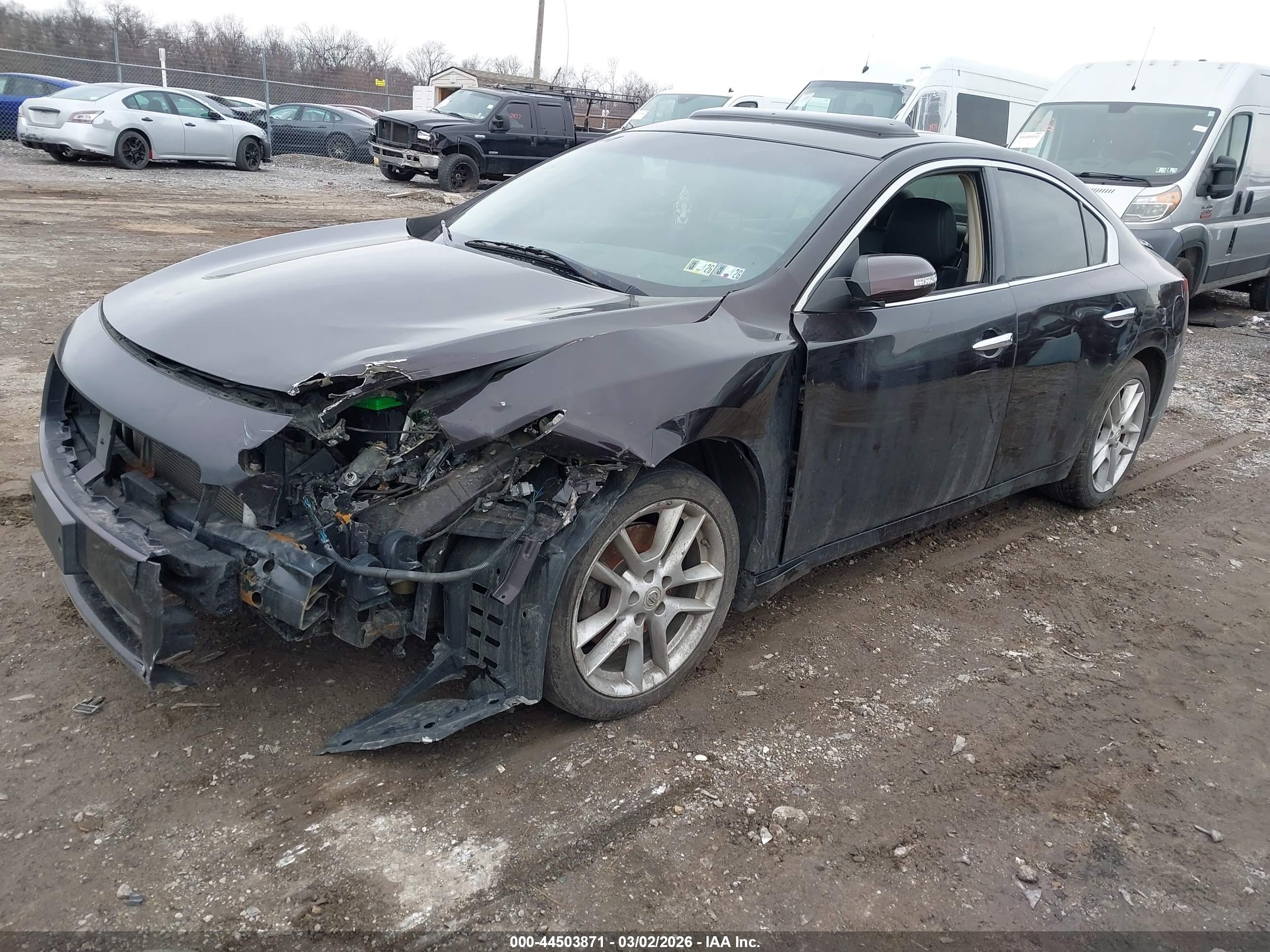 NISSAN MAXIMA image 2
