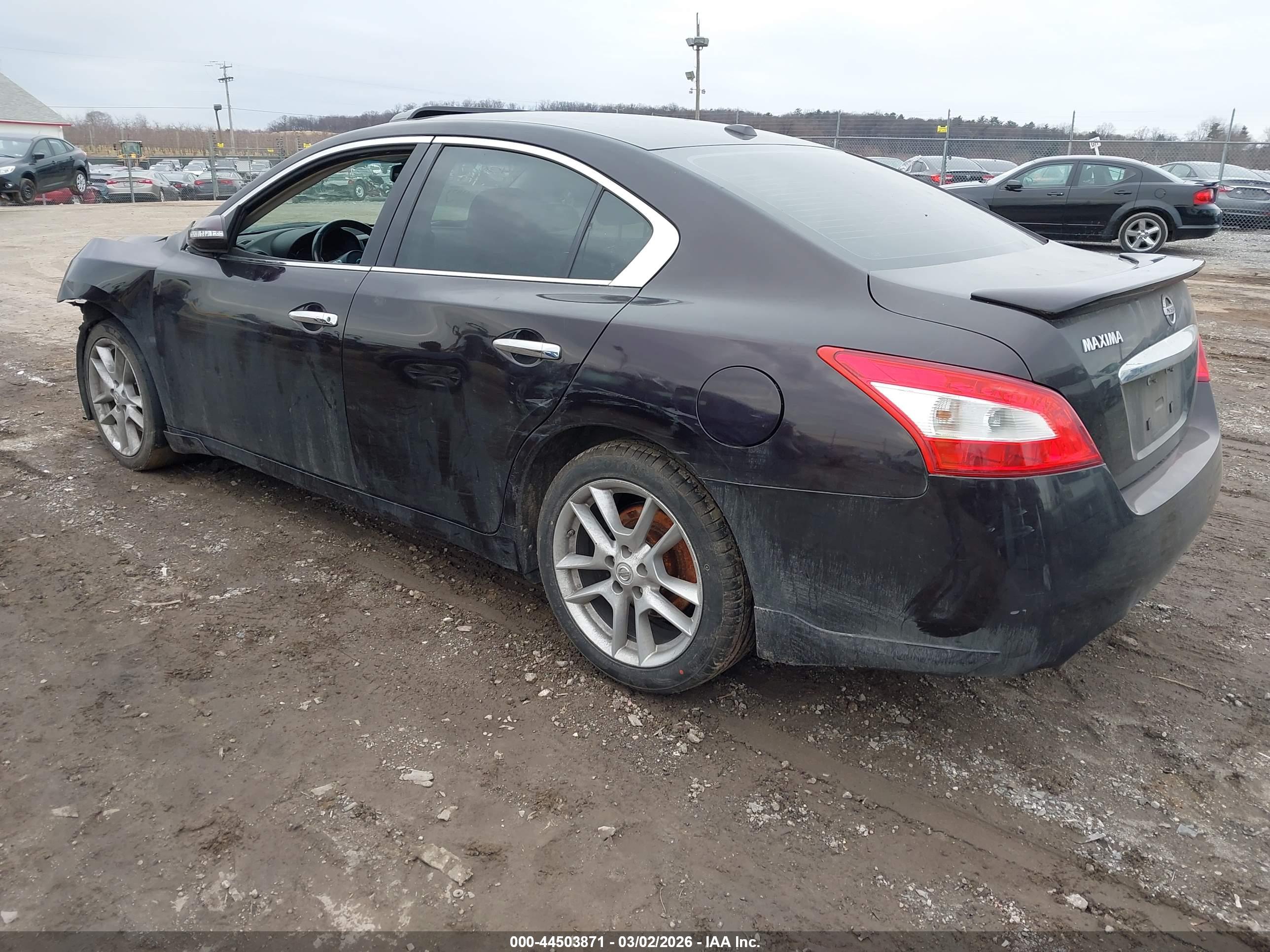 NISSAN MAXIMA image 3