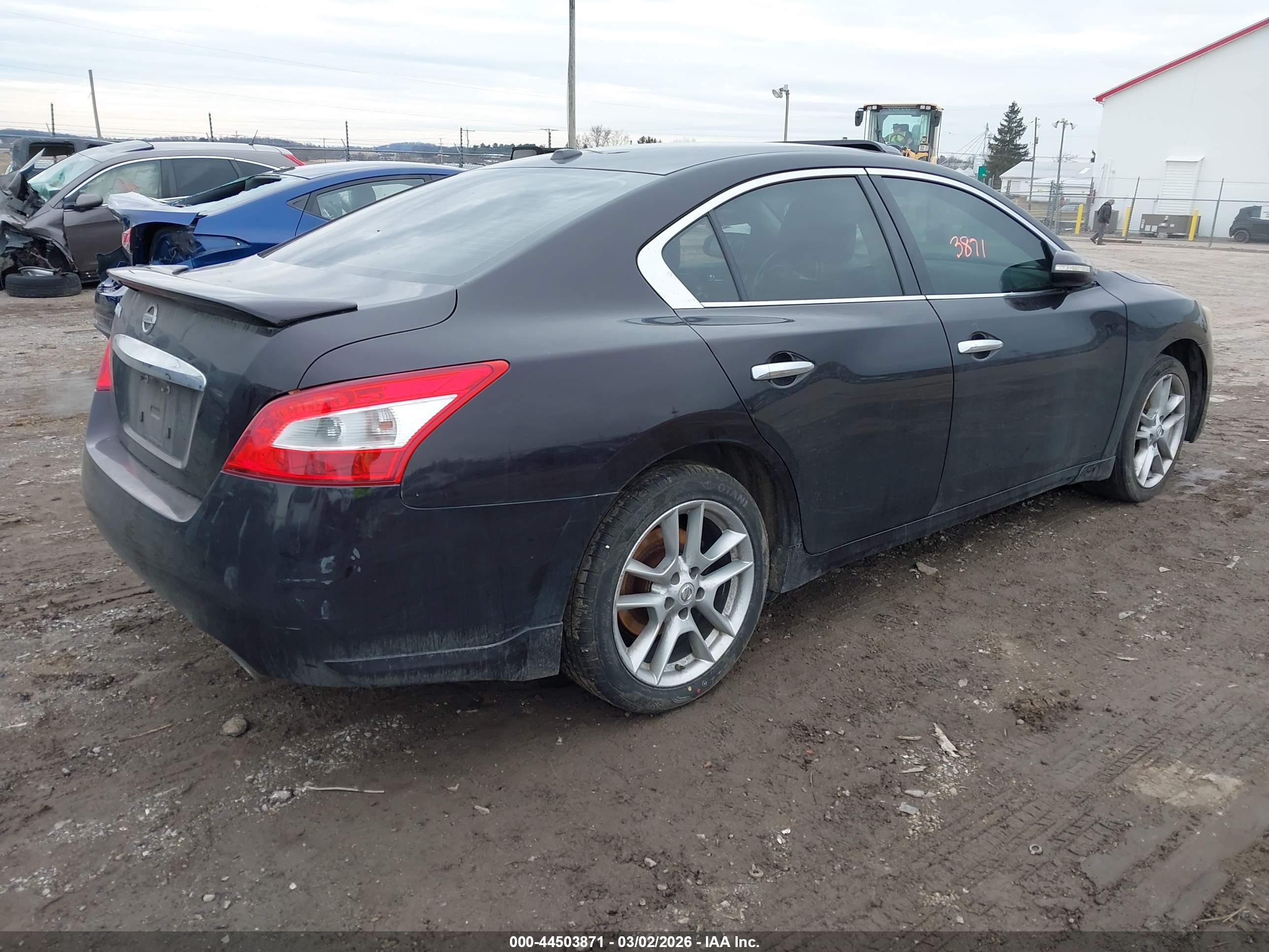 NISSAN MAXIMA image 4
