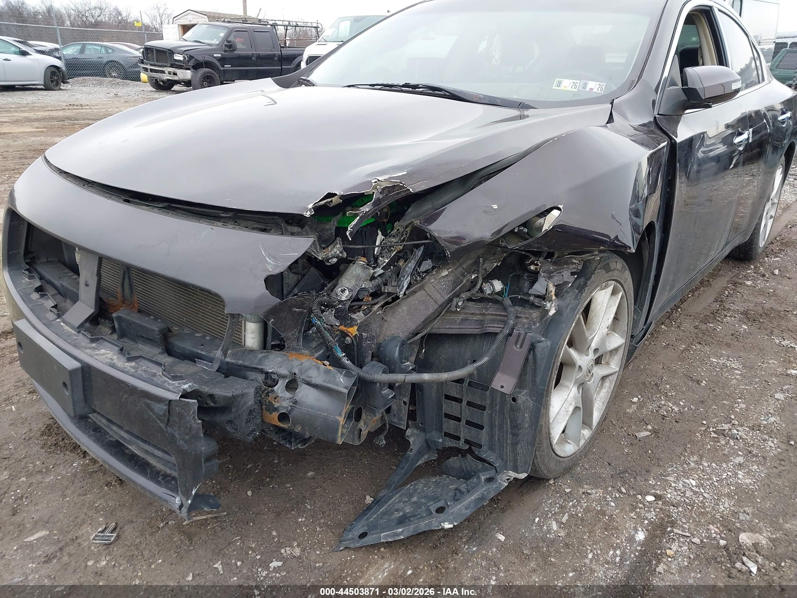 NISSAN MAXIMA image 6