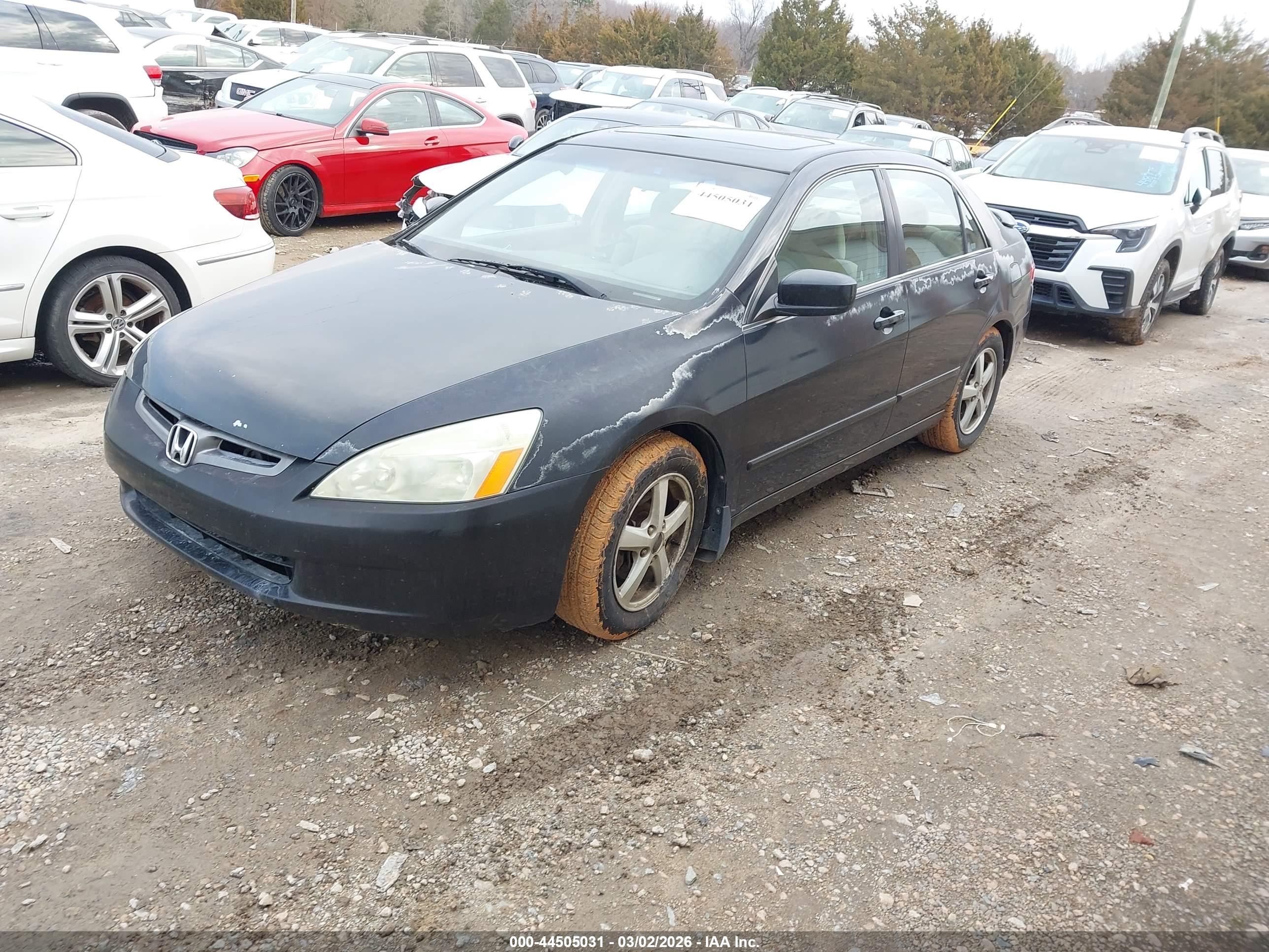 HONDA ACCORD image 2