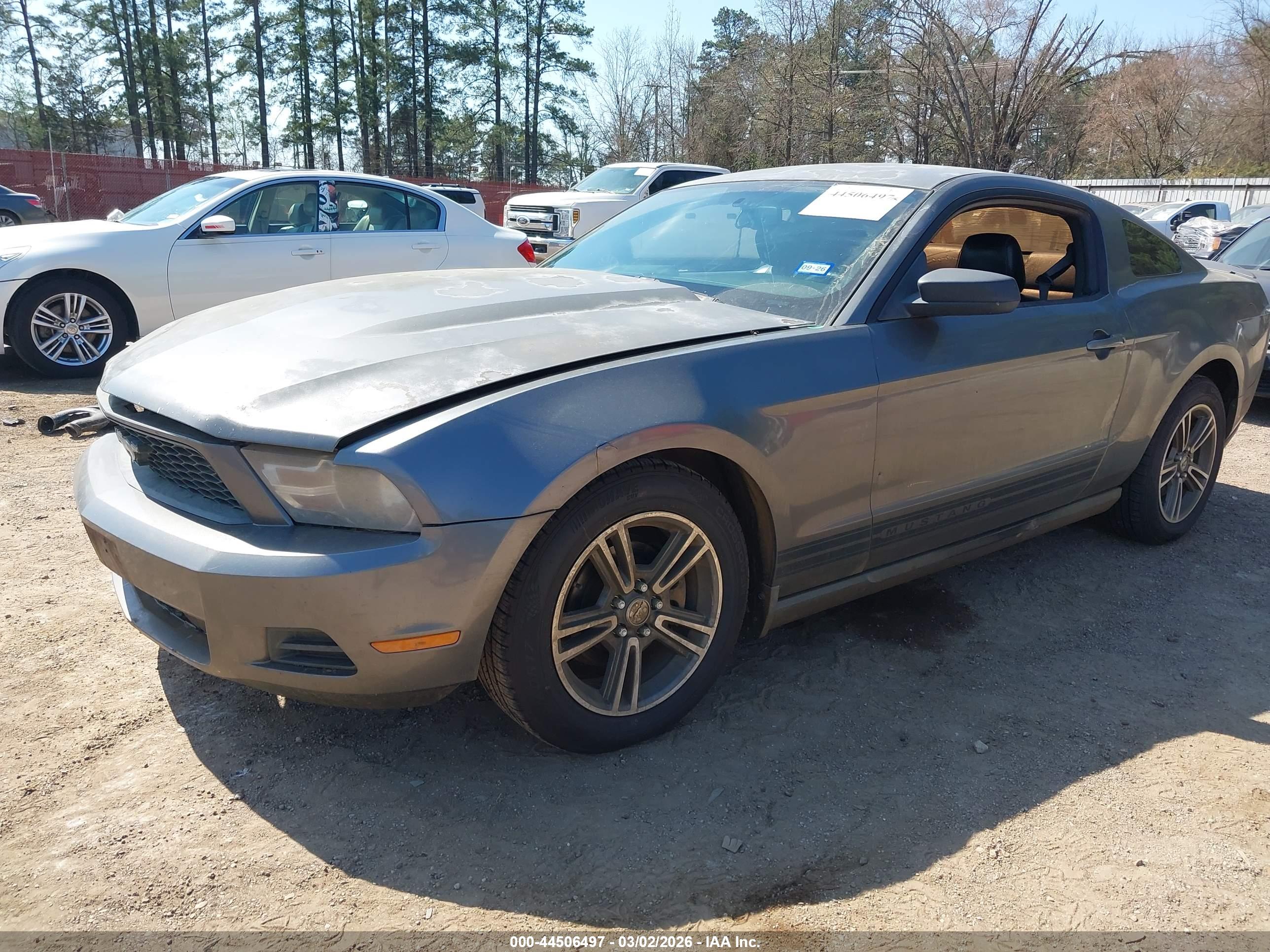 FORD MUSTANG image 2