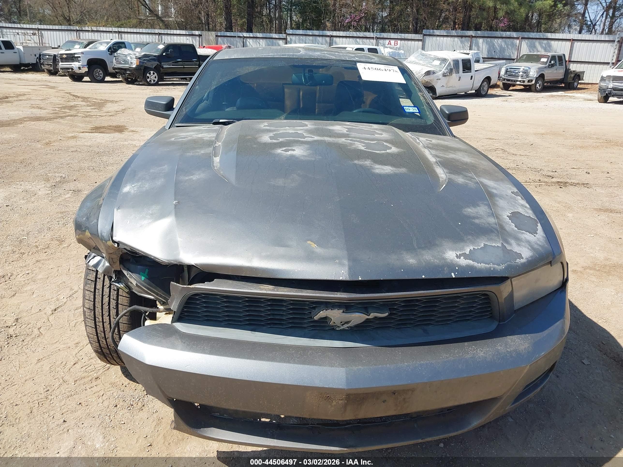 FORD MUSTANG image 6
