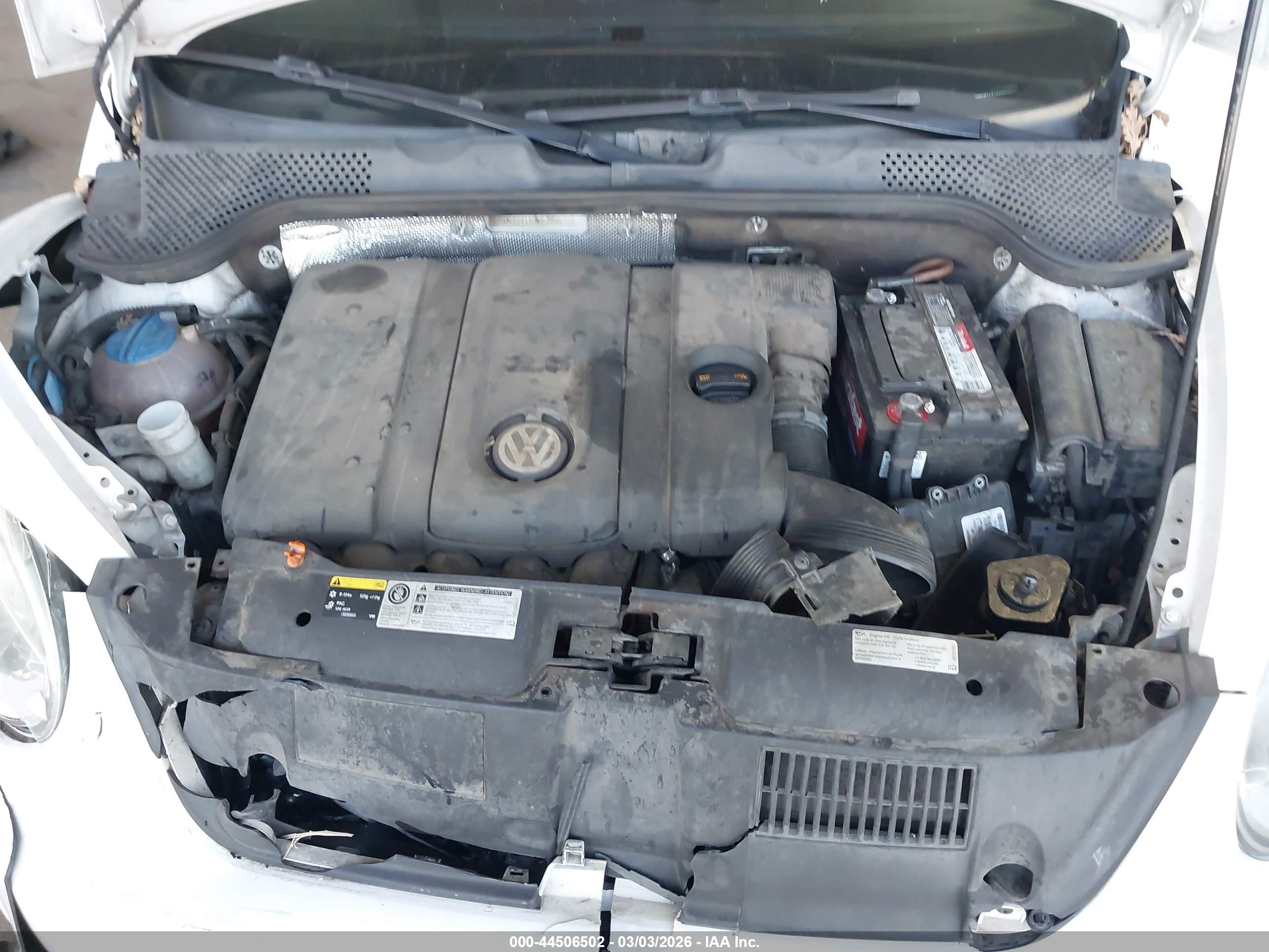 VOLKSWAGEN BEETLE image 10