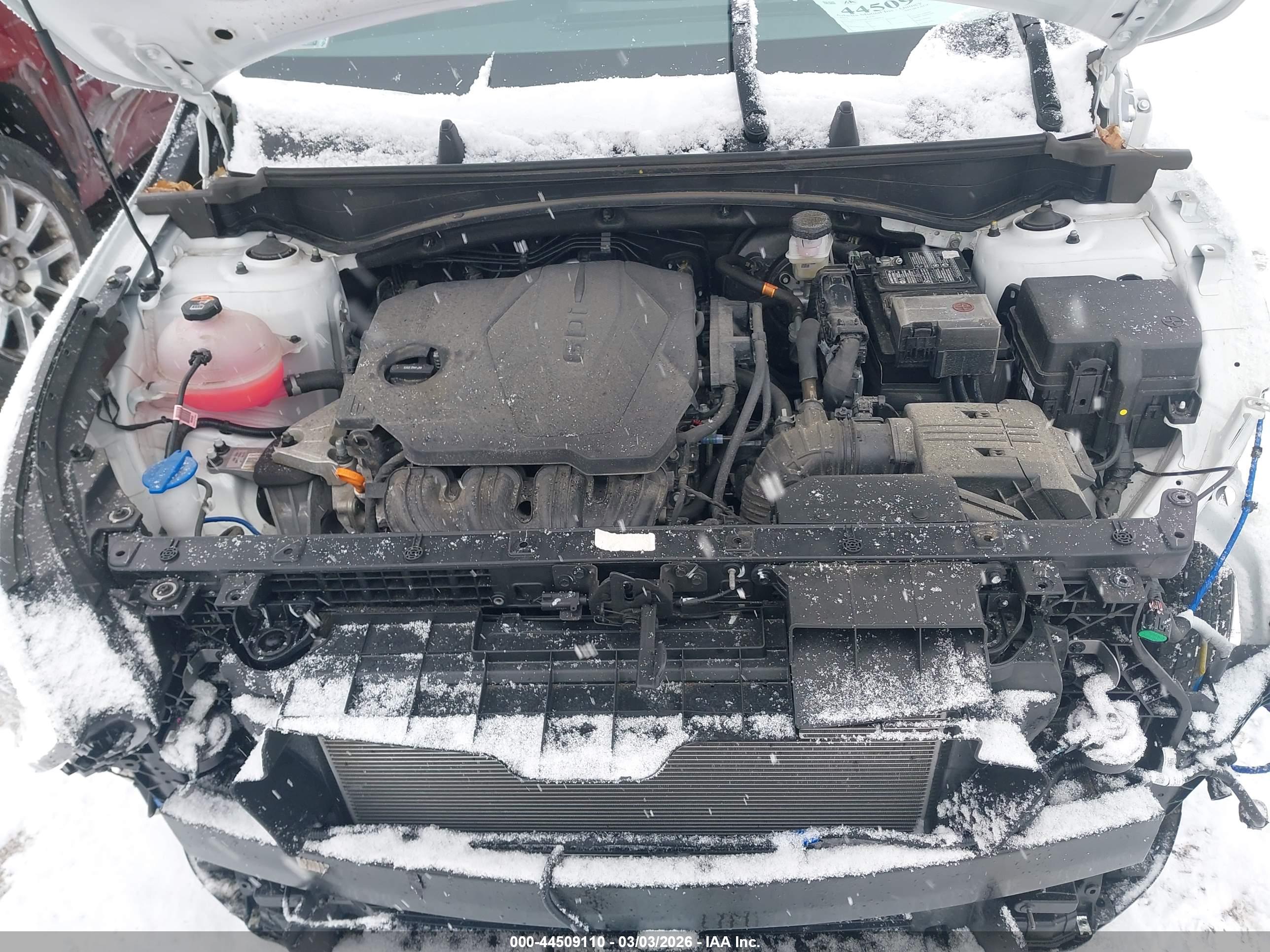 KIA SPORTAGE image 10