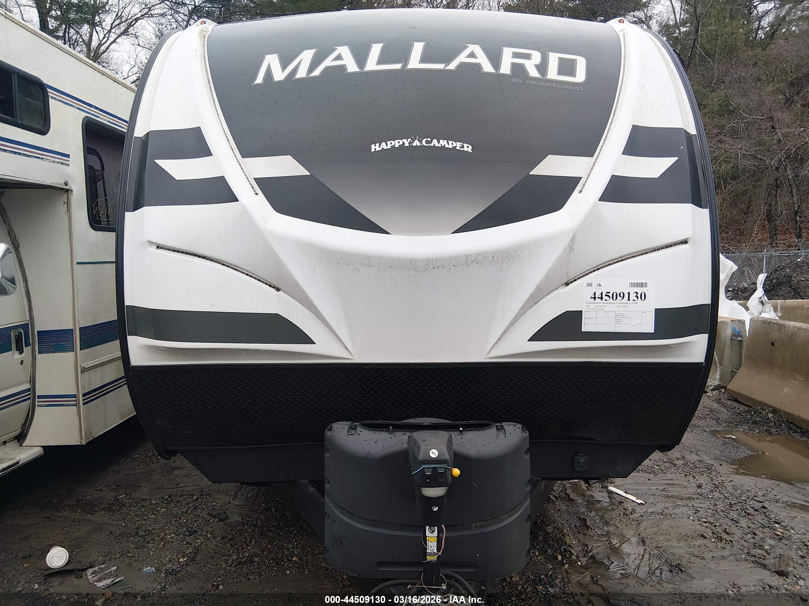 HARTLAND MALLARD image 10