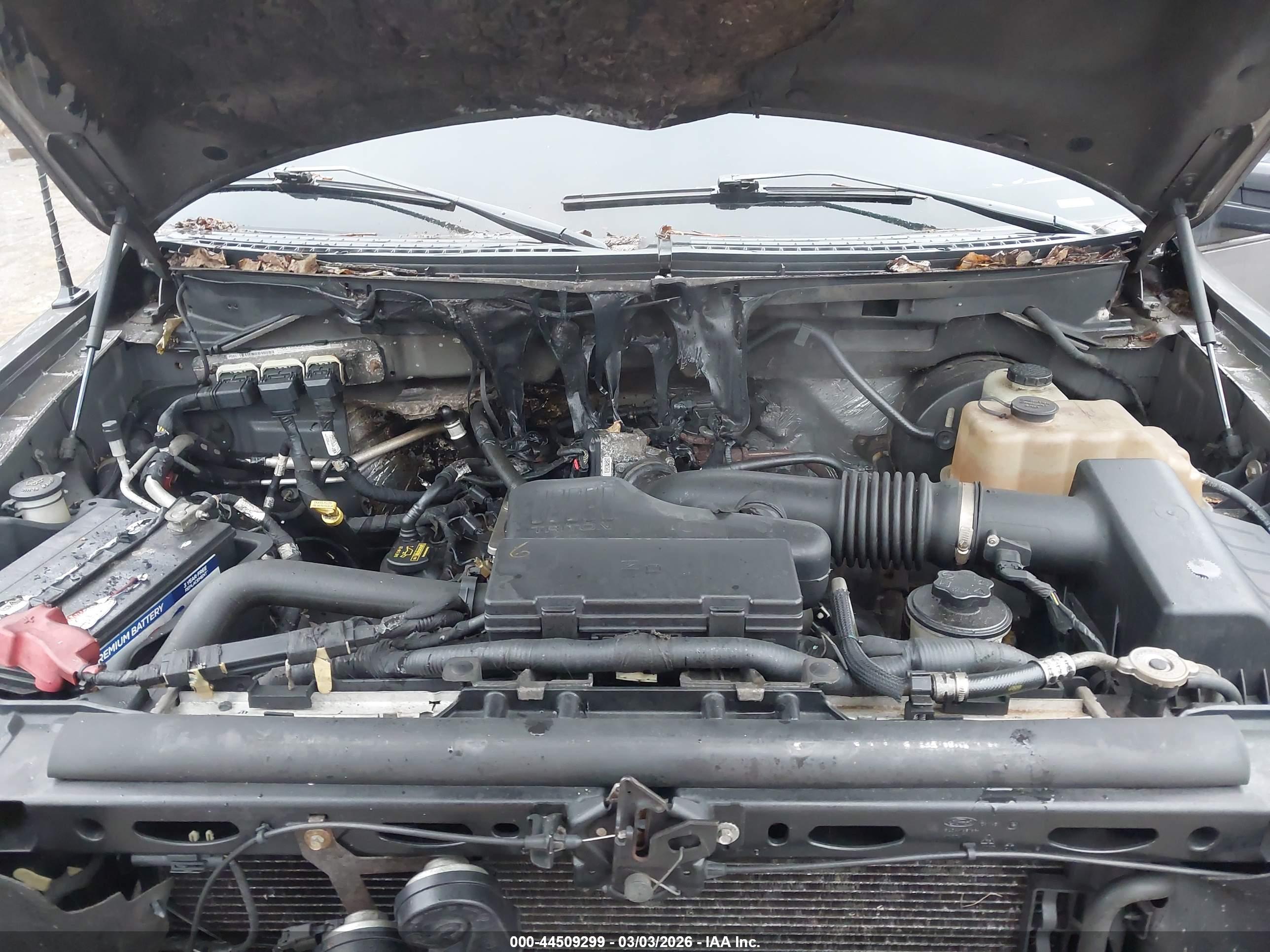 FORD F-150 image 10