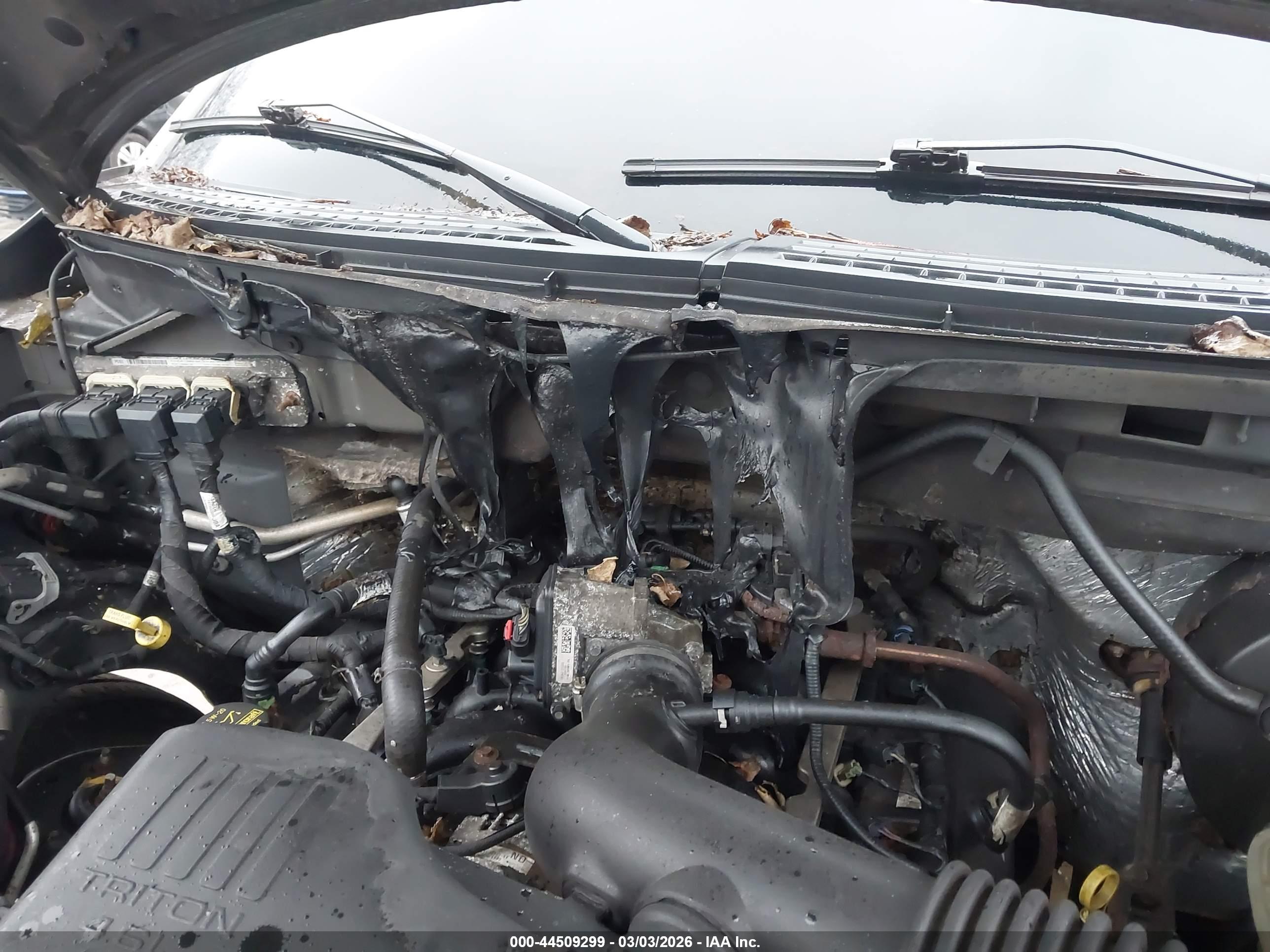 FORD F-150 image 6