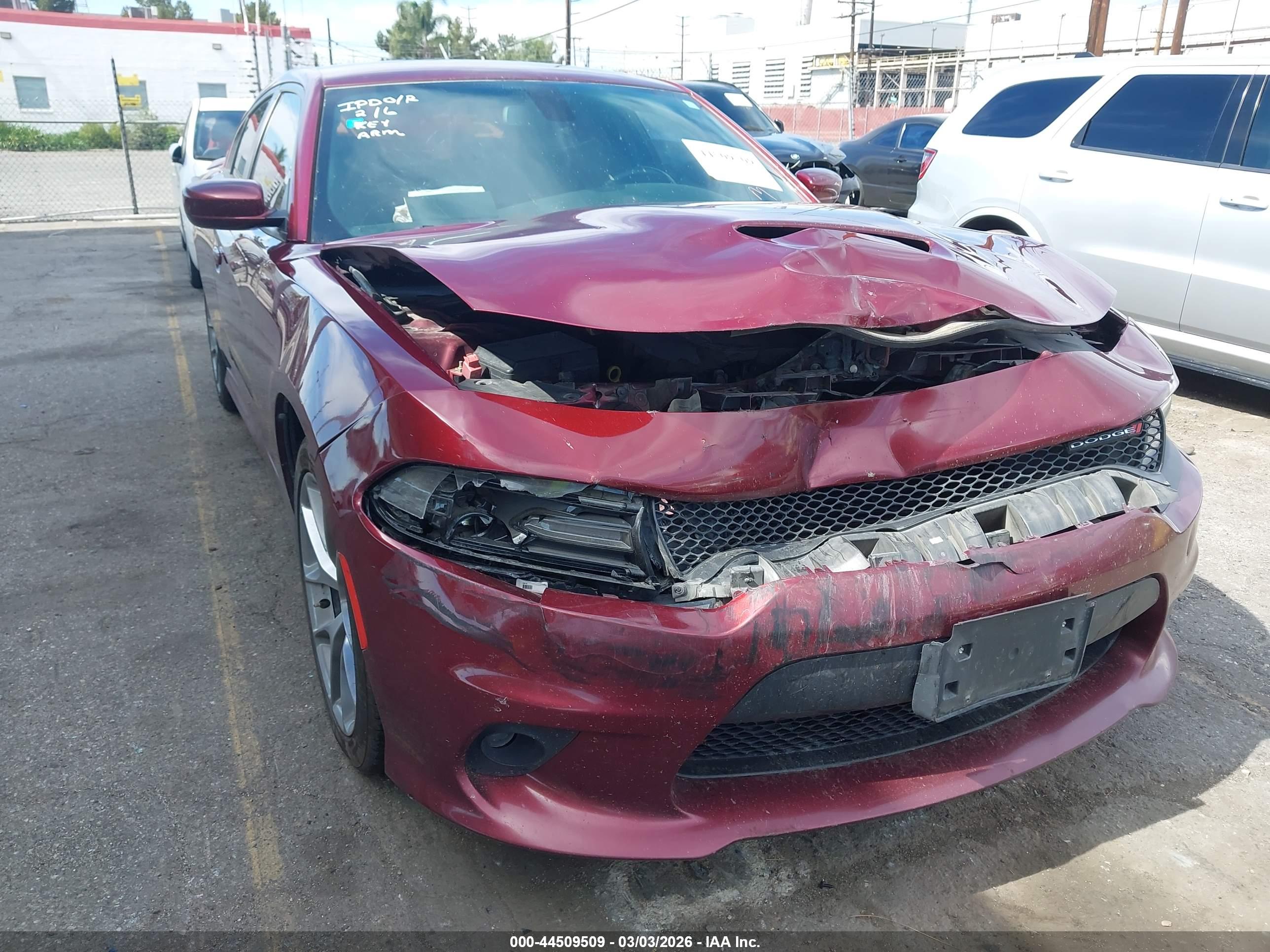 DODGE CHARGER image 6